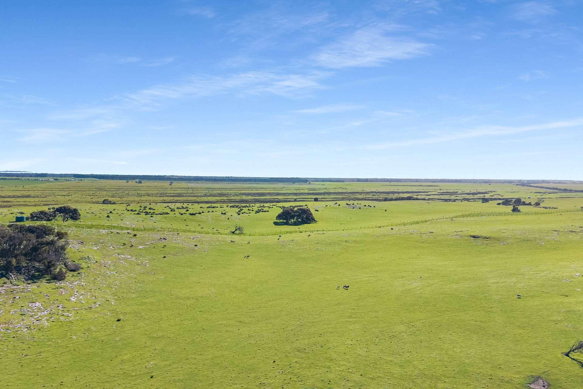 Lot 246 & Shamrock Road, Mount Benson For Sale by Farmbuy.com - image 10