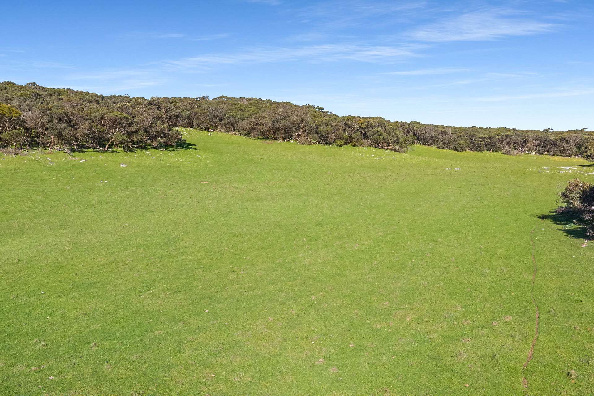 Lot 246 & Shamrock Road, Mount Benson For Sale by Farmbuy.com - image 6