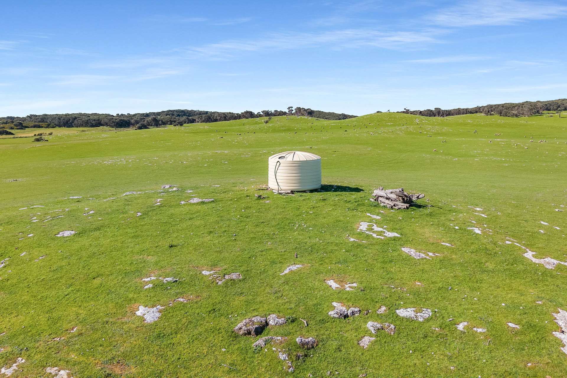 Lot 246 & Shamrock Road, Mount Benson For Sale by Farmbuy.com - image 13