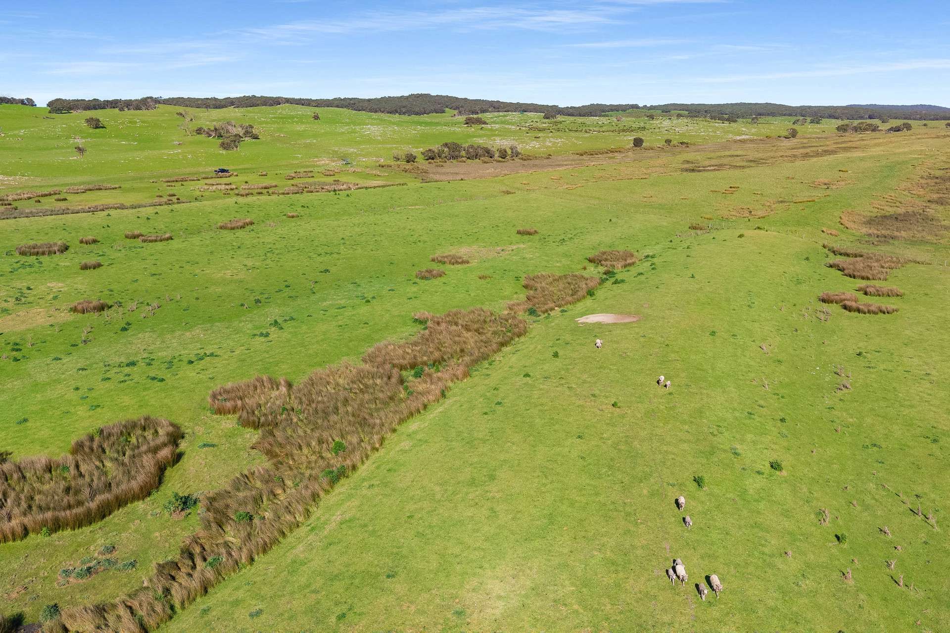 Lot 246 & Shamrock Road, Mount Benson For Sale by Farmbuy.com - image 9