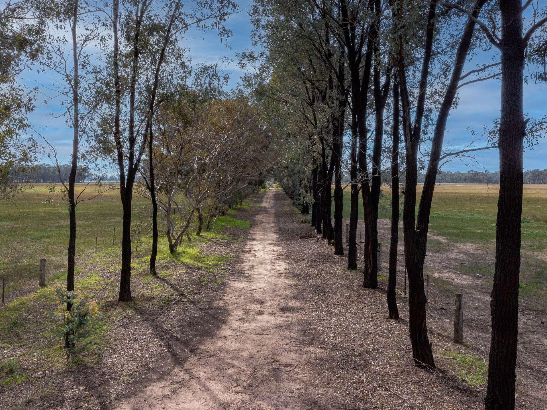 00 Frost Road, Killawarra For Sale by Farmbuy.com - image 7