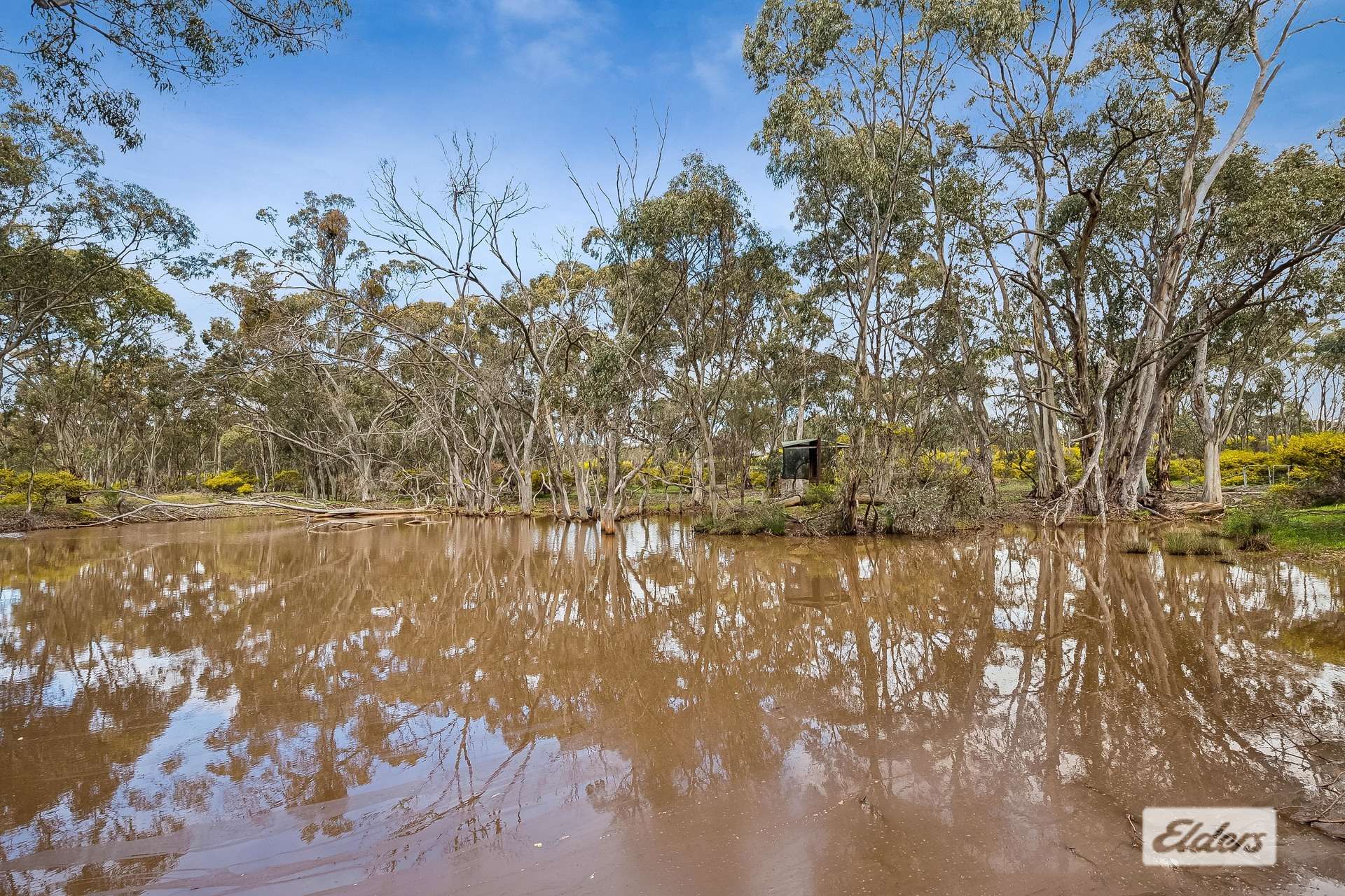 420 Scotts Lane, Wedderburn For Sale by Farmbuy.com - image 9