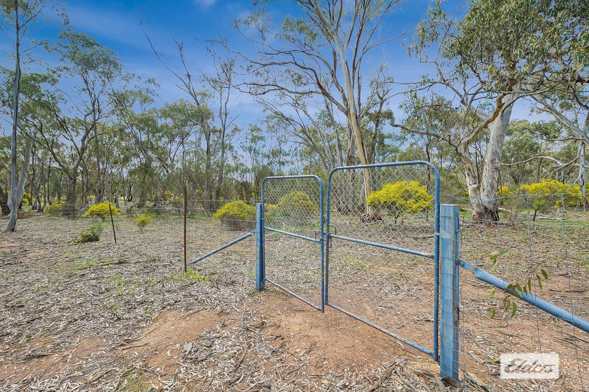 420 Scotts Lane, Wedderburn For Sale by Farmbuy.com - image 12