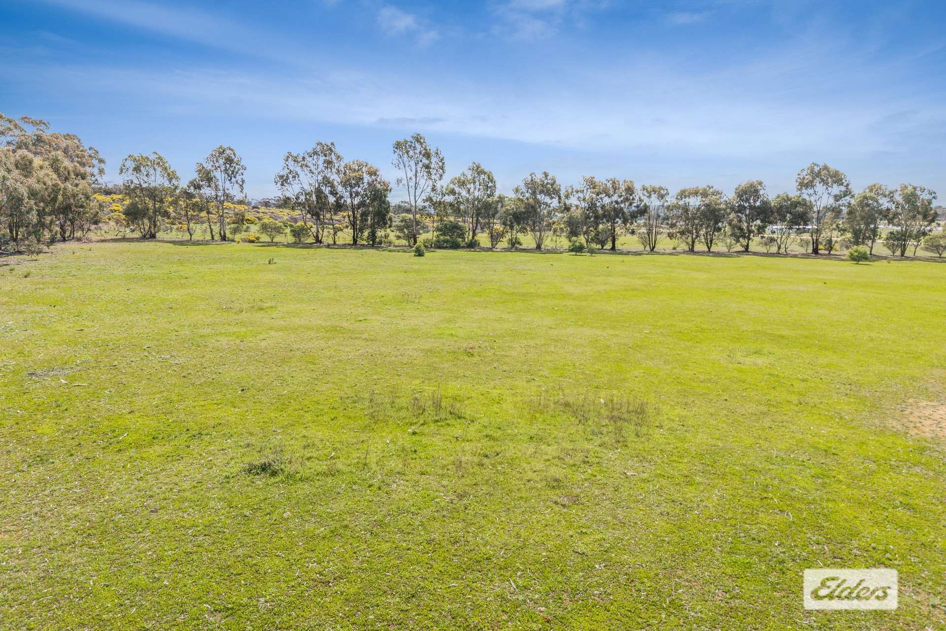 420 Scotts Lane, Wedderburn For Sale by Farmbuy.com - image 10
