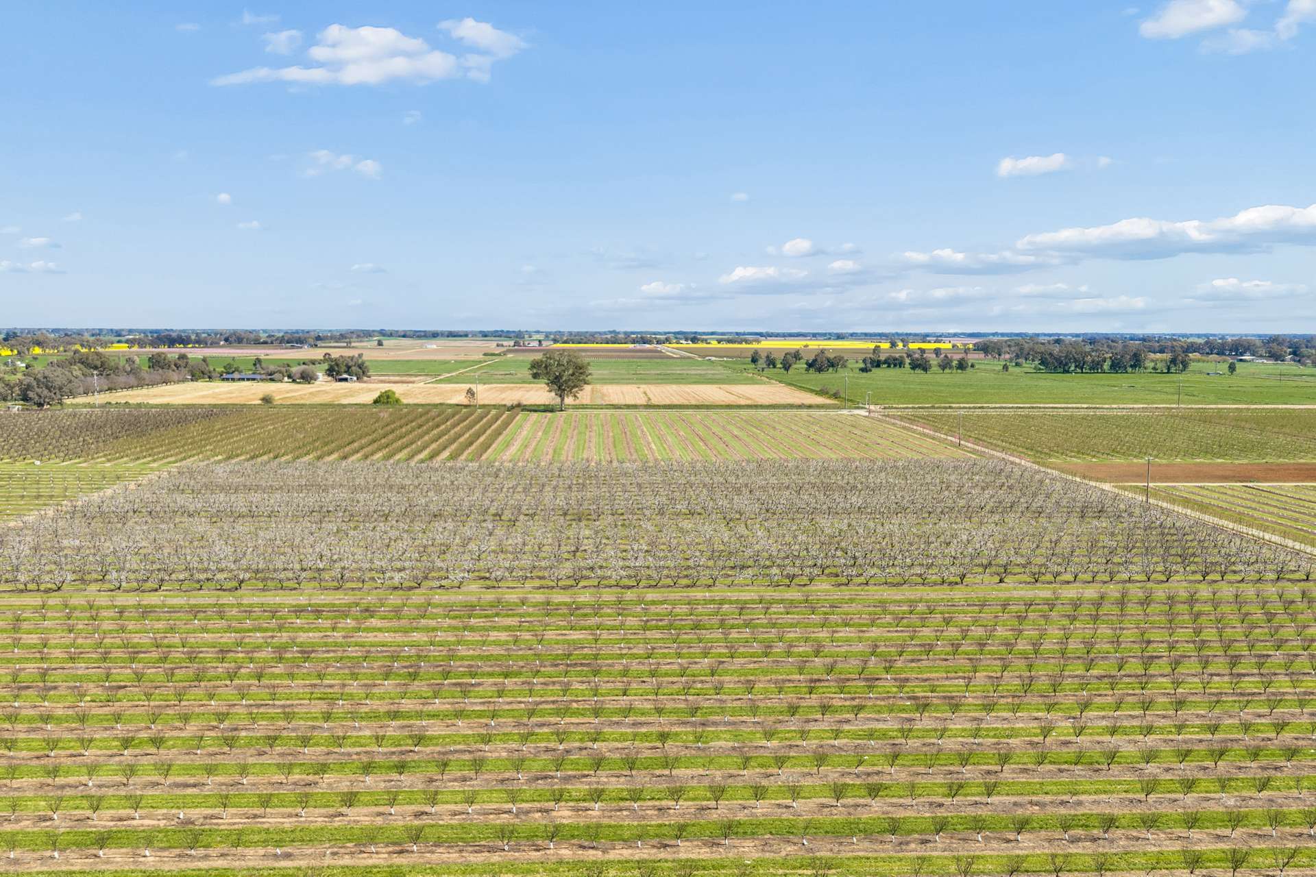 139 Chapel Road, Cobram East For Sale by Farmbuy.com - image 5