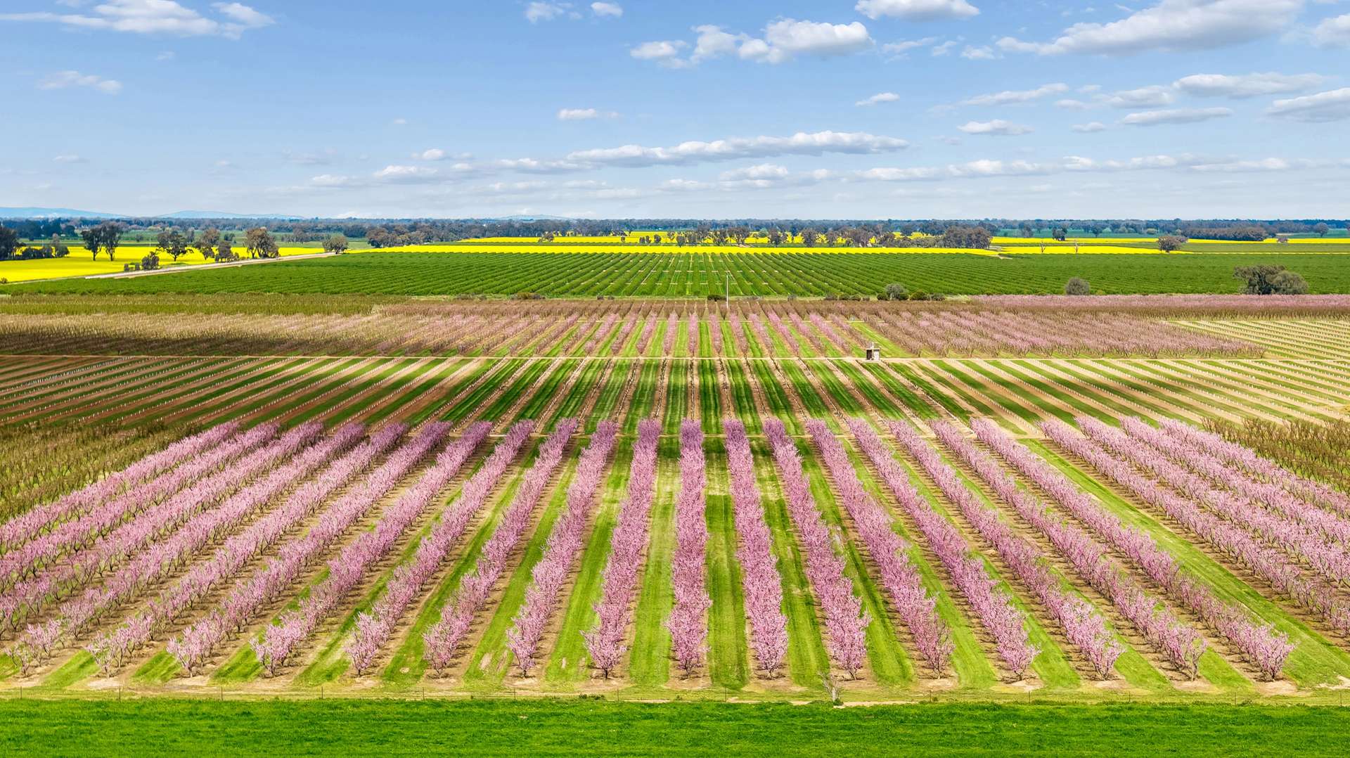 139 Chapel Road, Cobram East For Sale by Farmbuy.com - image 16