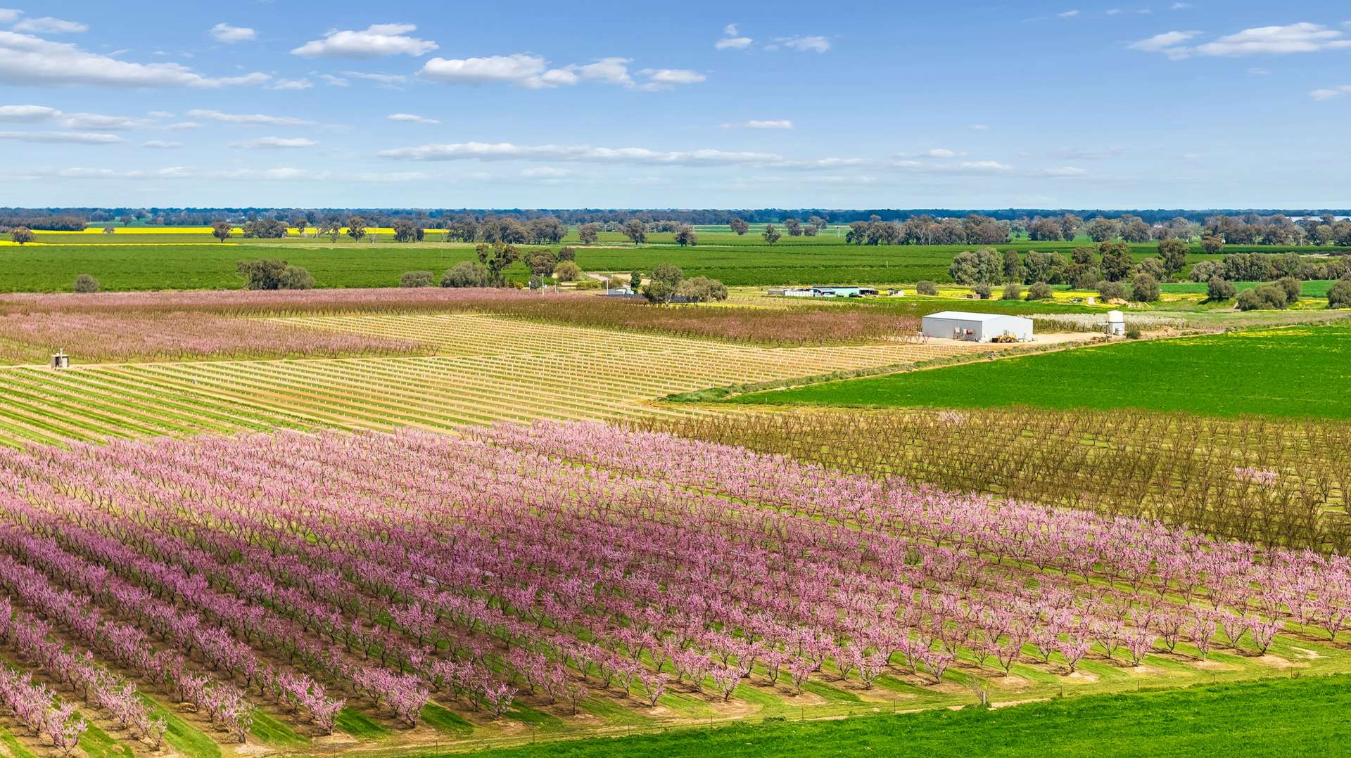 139 Chapel Road, Cobram East For Sale by Farmbuy.com - image 17