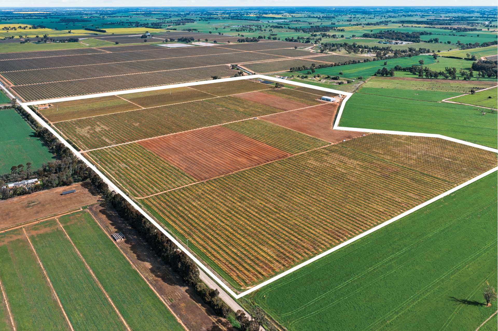 139 Chapel Road, Cobram East For Sale by Farmbuy.com - image 13
