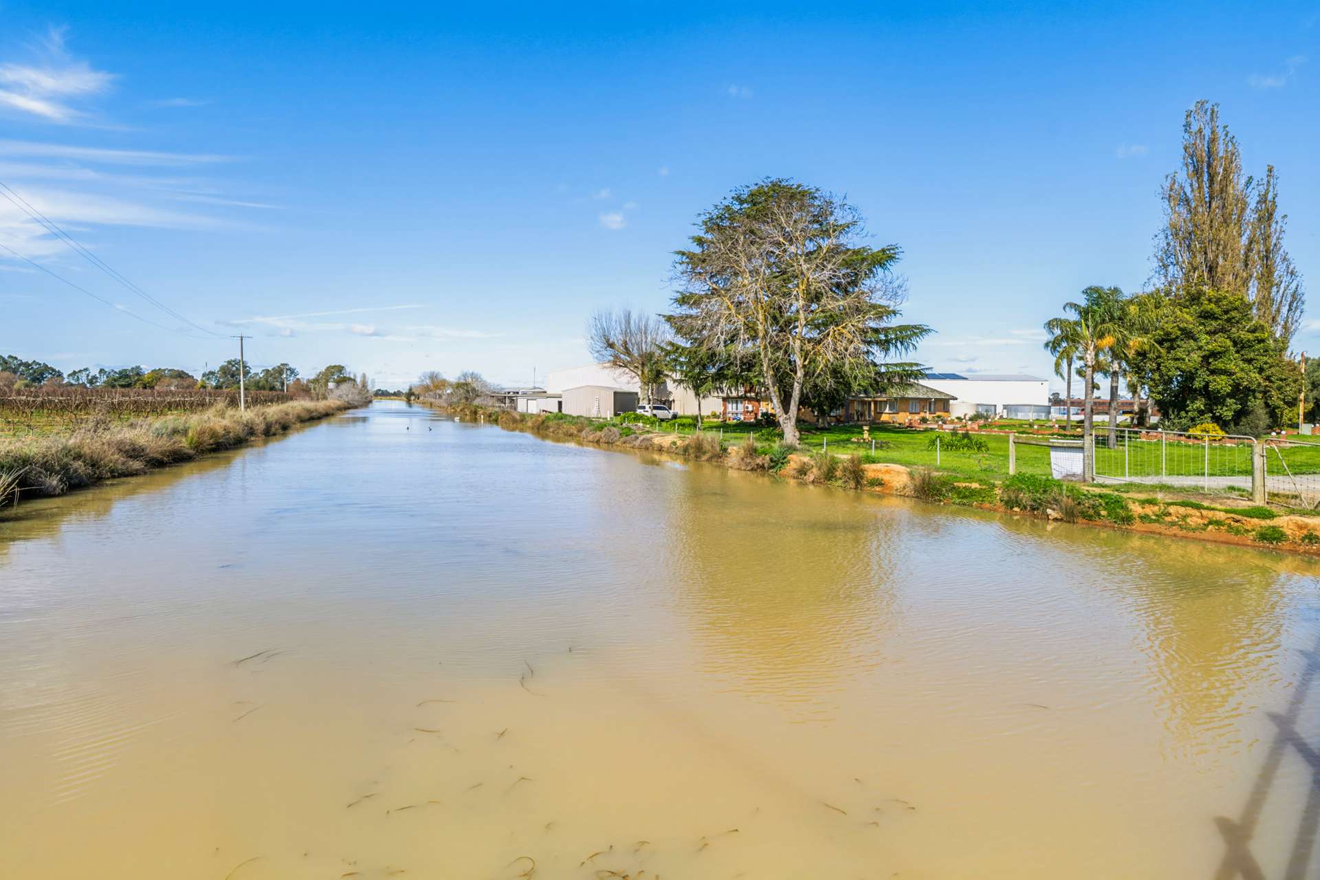 139 Chapel Road, Cobram East For Sale by Farmbuy.com - image 10
