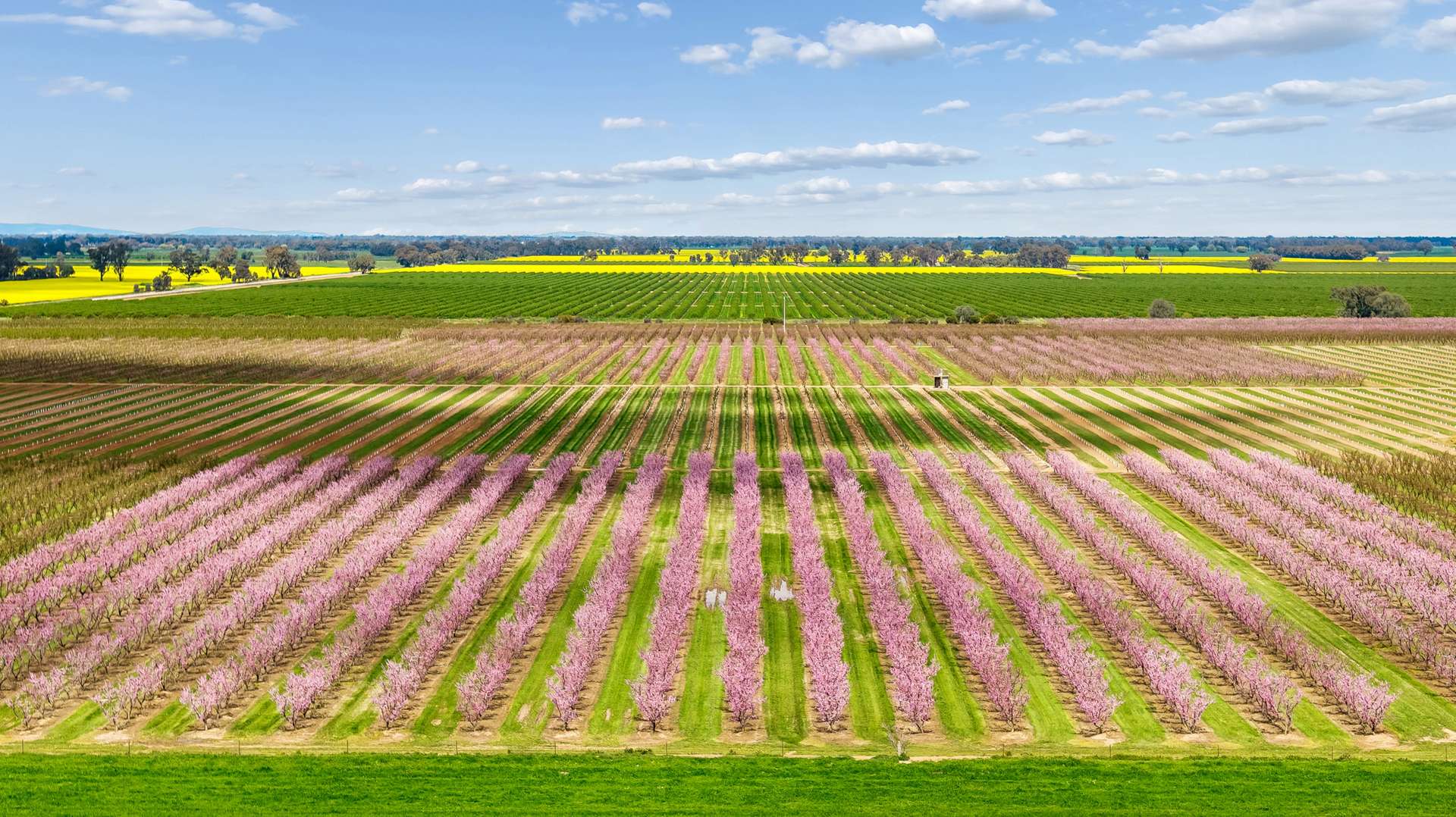 139 Chapel Road, Cobram East For Sale by Farmbuy.com - image 15