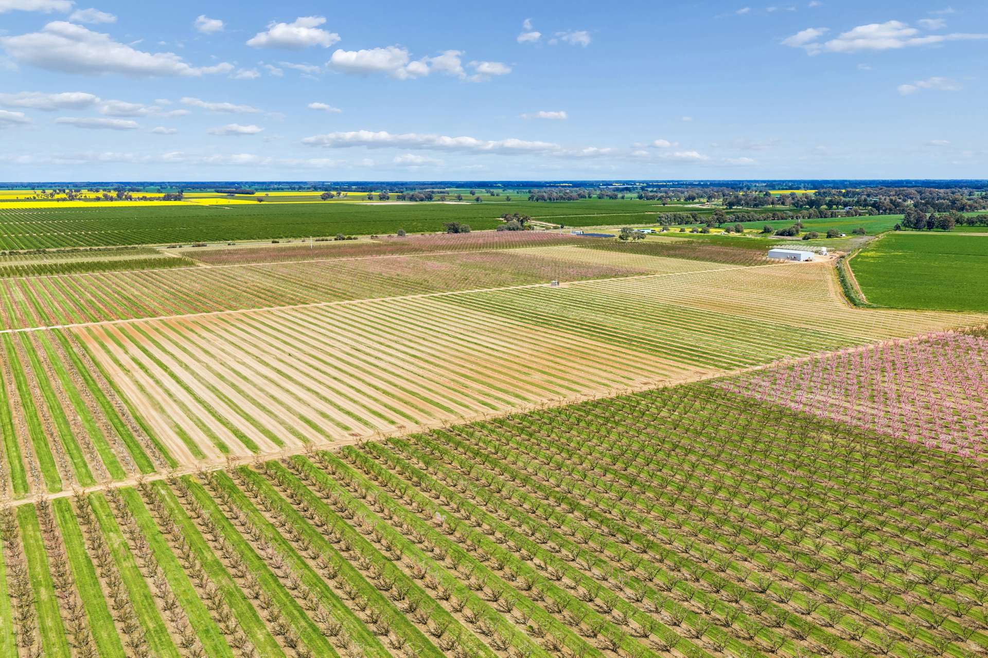 139 Chapel Road, Cobram East For Sale by Farmbuy.com - image 15