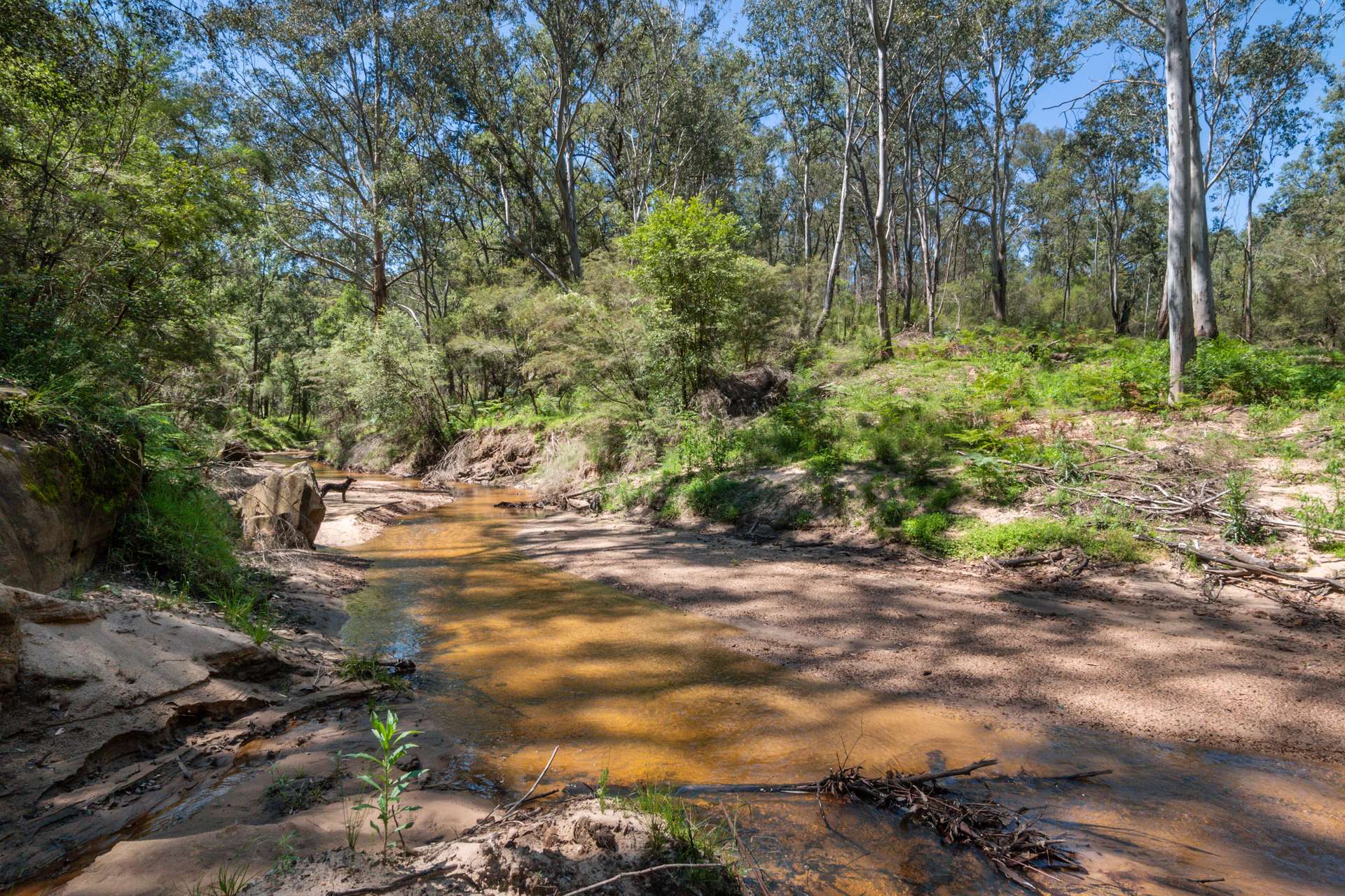 5727 Putty Road, Howes Valley For Sale by Farmbuy.com - image 8
