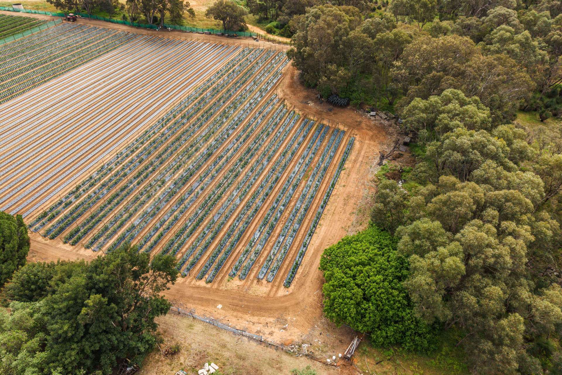 1880 Wanneroo Road, Neerabup For Sale by Farmbuy.com - image 18
