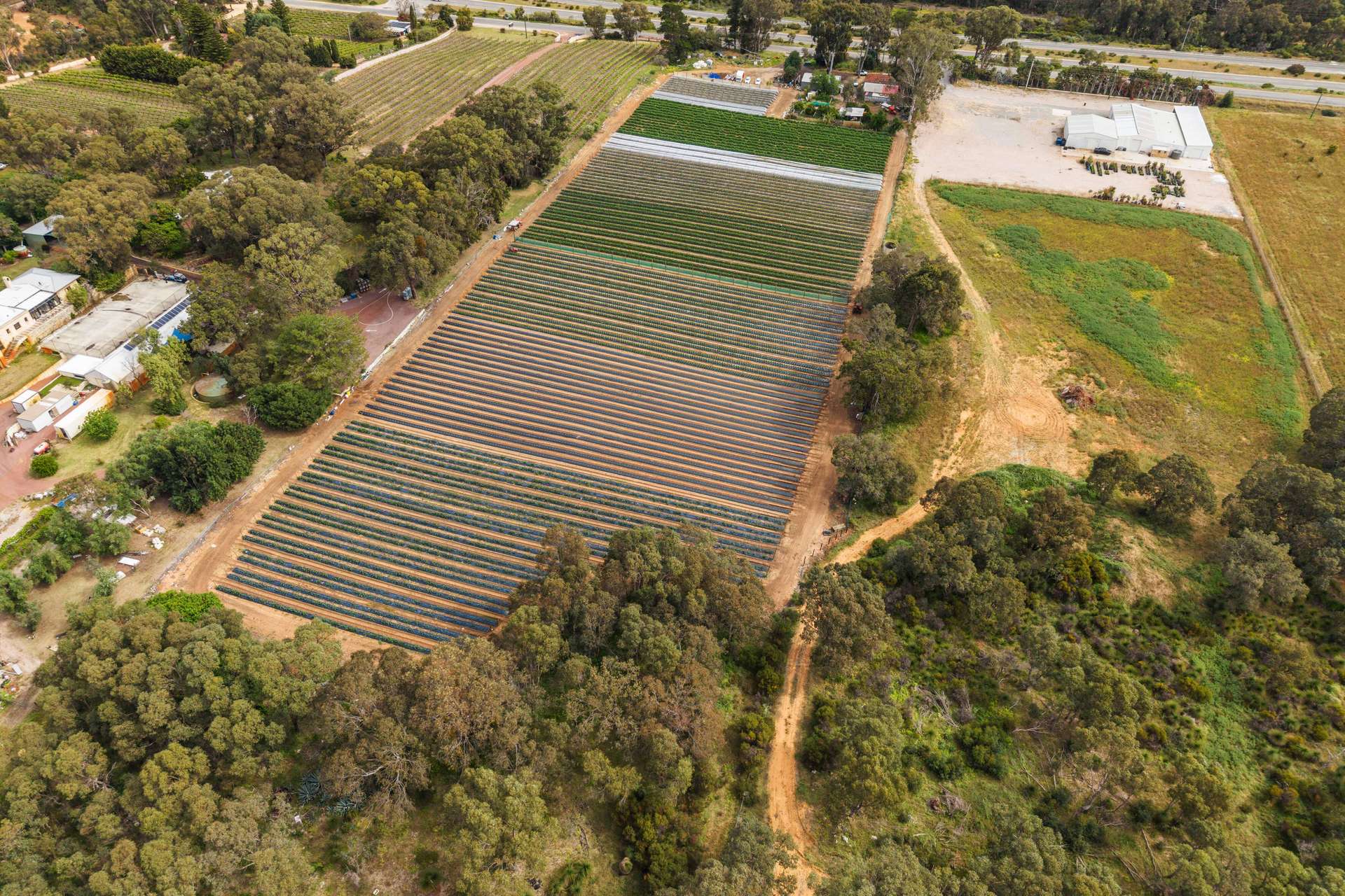 1880 Wanneroo Road, Neerabup For Sale by Farmbuy.com - image 8