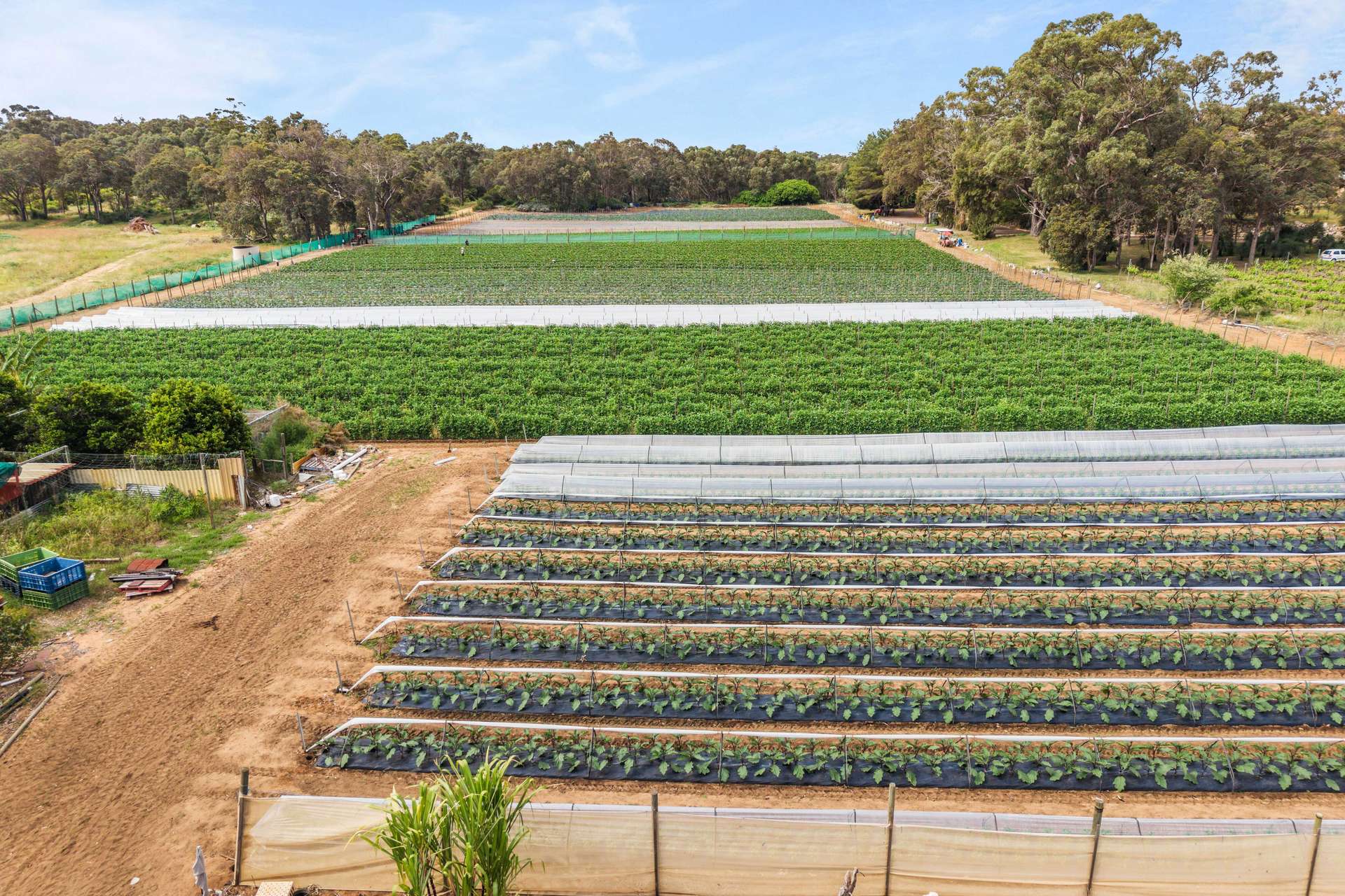1880 Wanneroo Road, Neerabup For Sale by Farmbuy.com - image 9