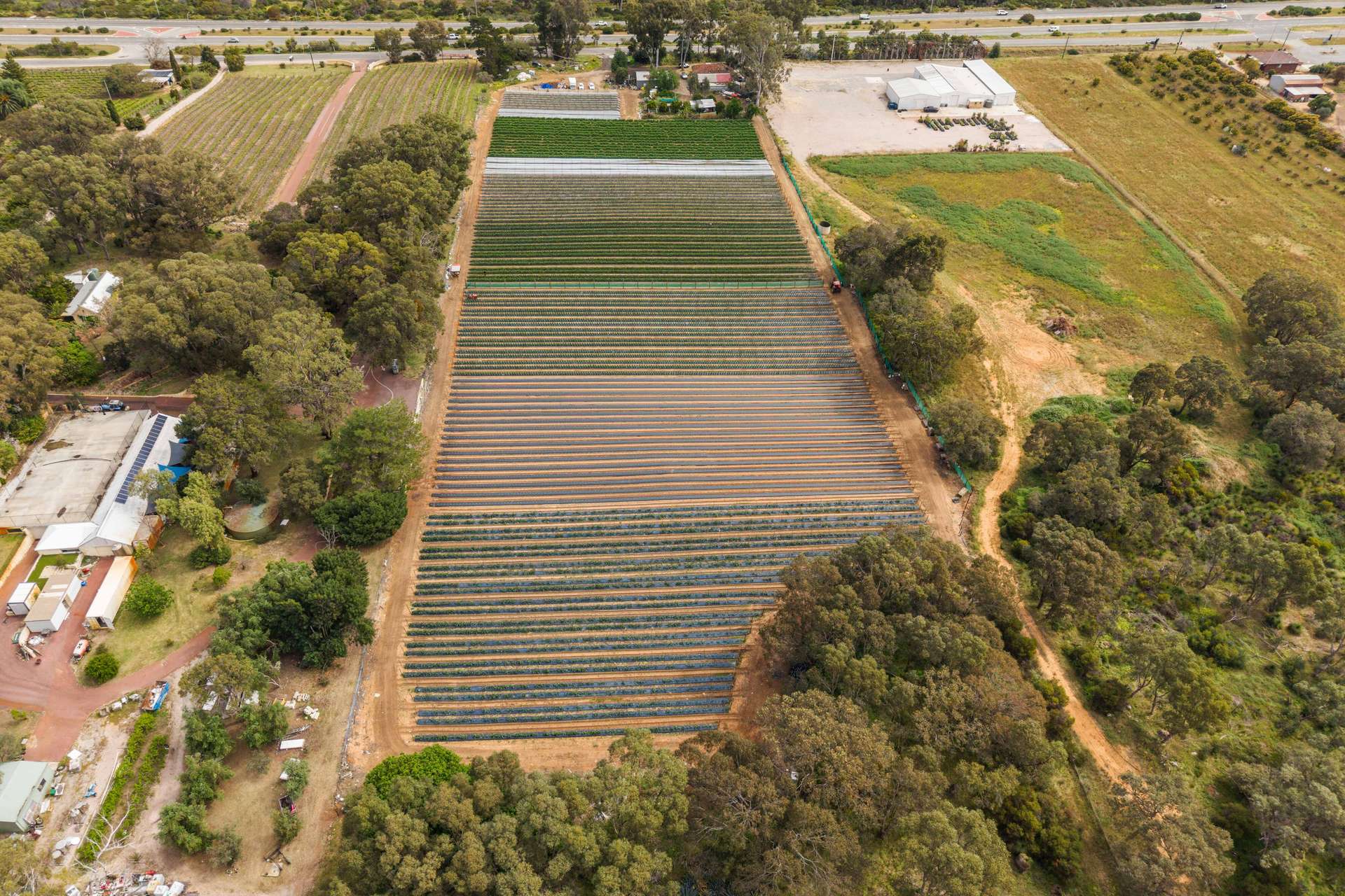 1880 Wanneroo Road, Neerabup For Sale by Farmbuy.com - image 2