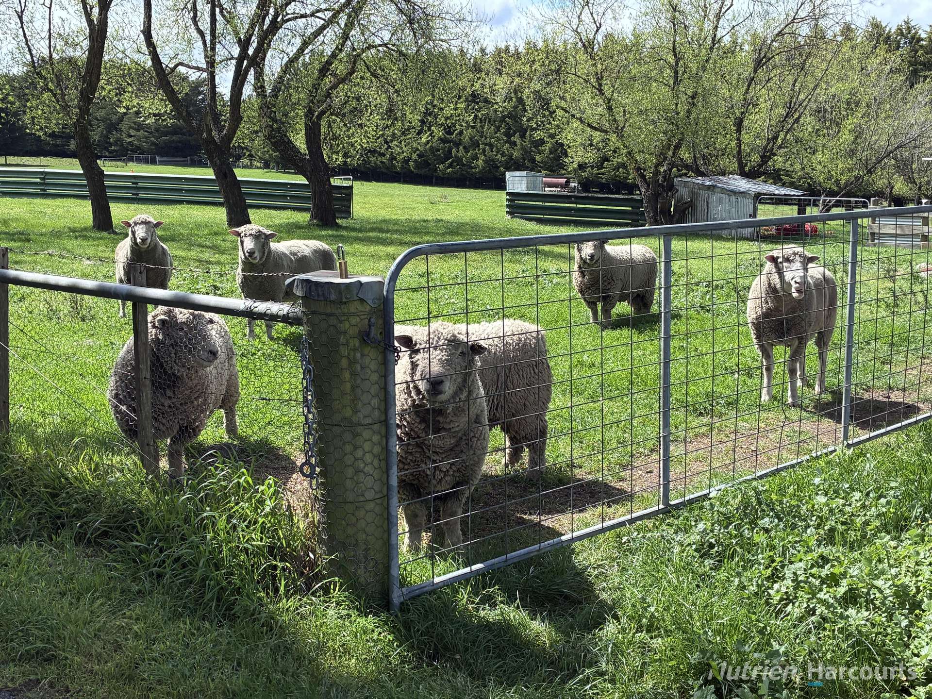 2914 Ballan-Meredith Road, Ballan Tender by Farmbuy.com - image 12