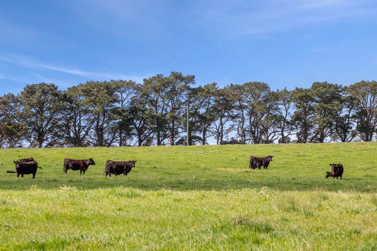 1195 Barrabool Road, Barrabool For Sale by Farmbuy.com - image 20