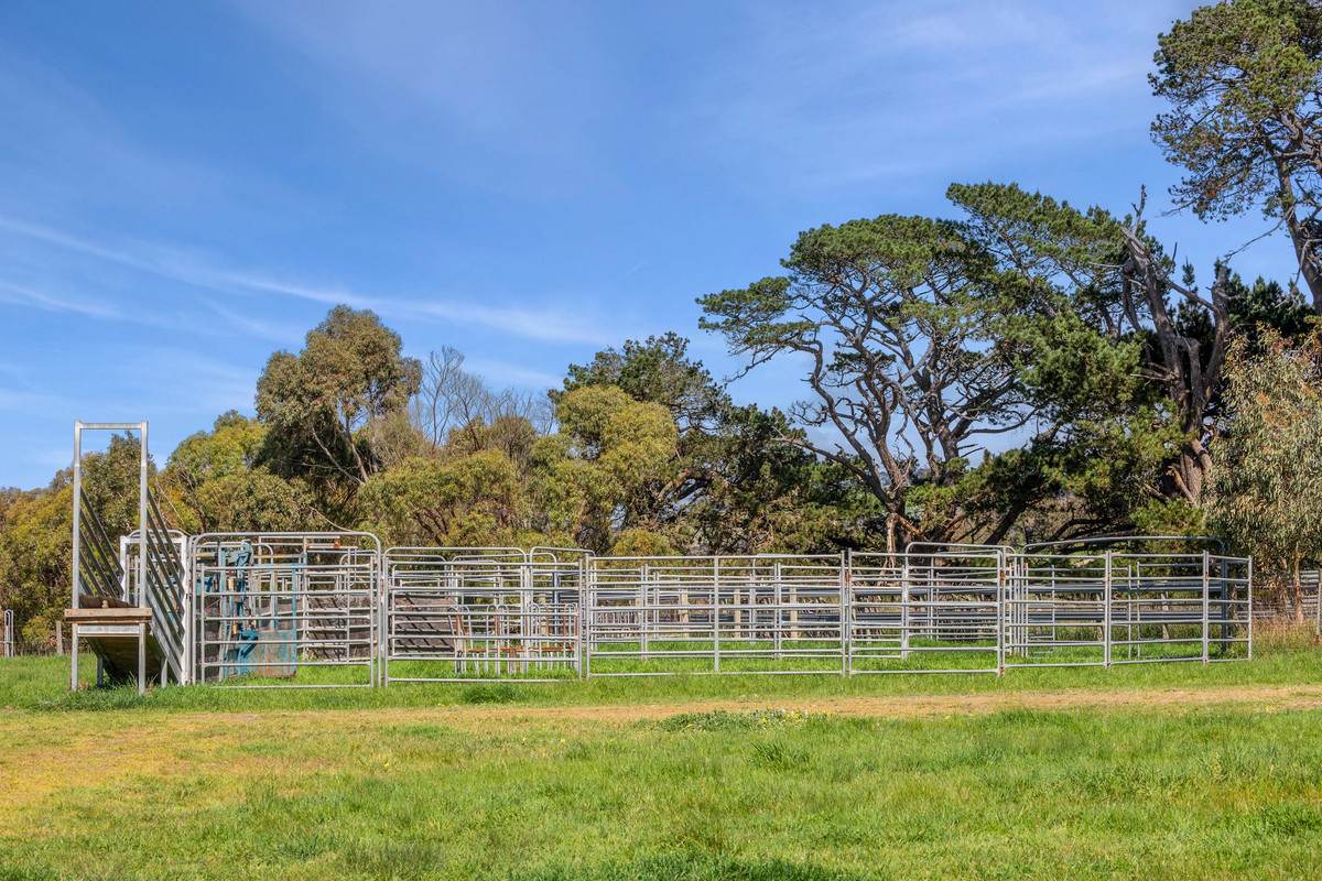 1195 Barrabool Road, Barrabool For Sale by Farmbuy.com - image 23
