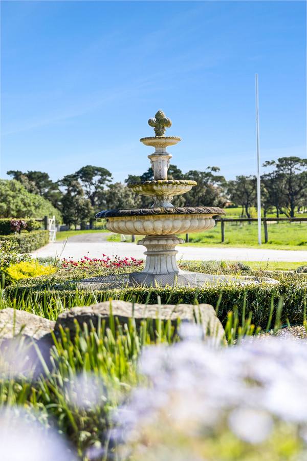 1195 Barrabool Road, Barrabool For Sale by Farmbuy.com - image 6