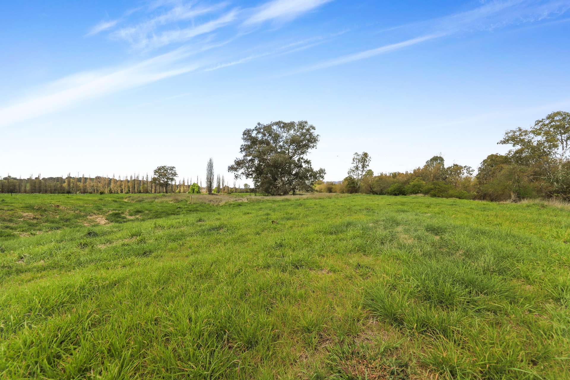 Lot 12,  Bombowlee Avenue, Tumut For Sale by Farmbuy.com - image 6