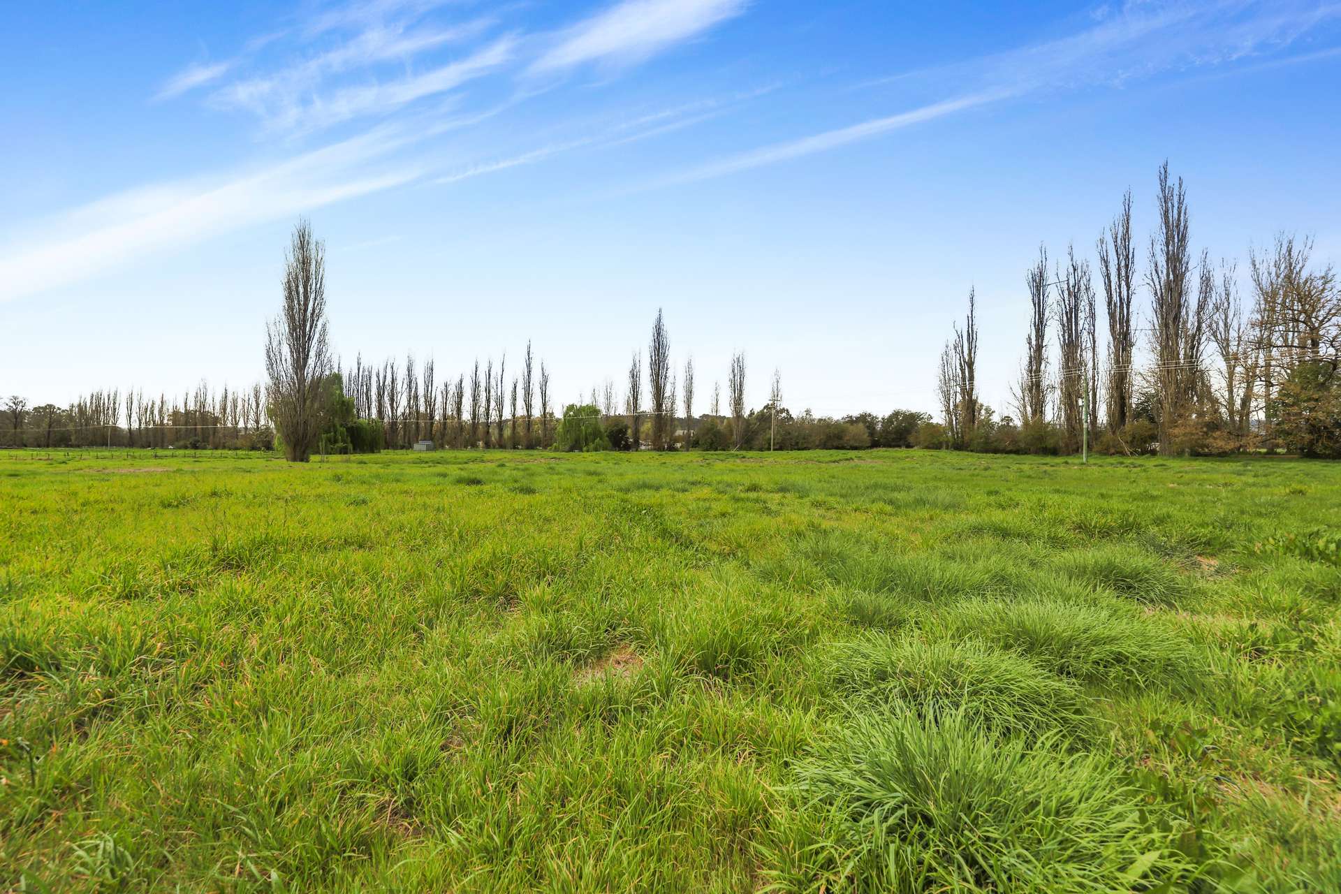 Lot 12,  Bombowlee Avenue, Tumut For Sale by Farmbuy.com - image 4
