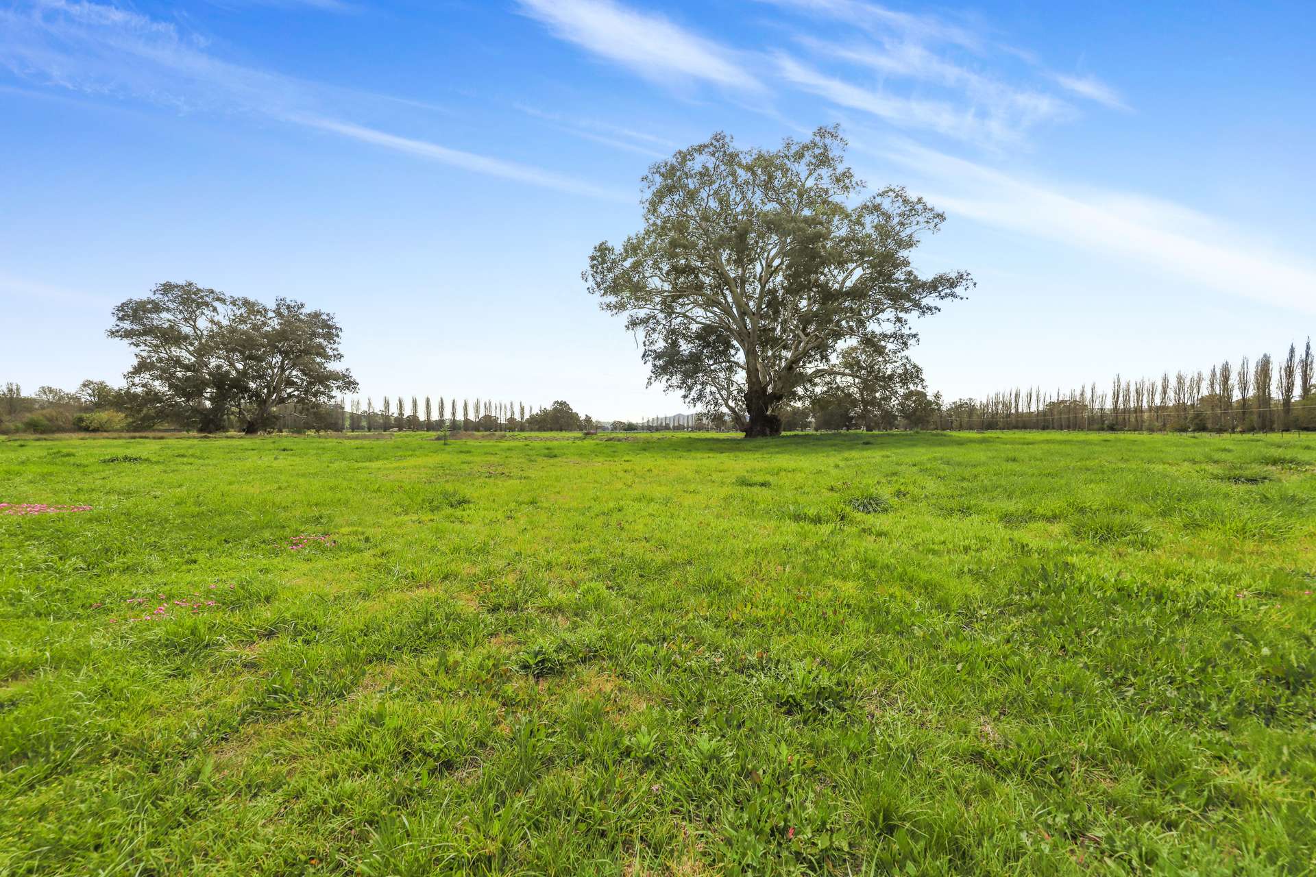 Lot 12,  Bombowlee Avenue, Tumut For Sale by Farmbuy.com - image 5