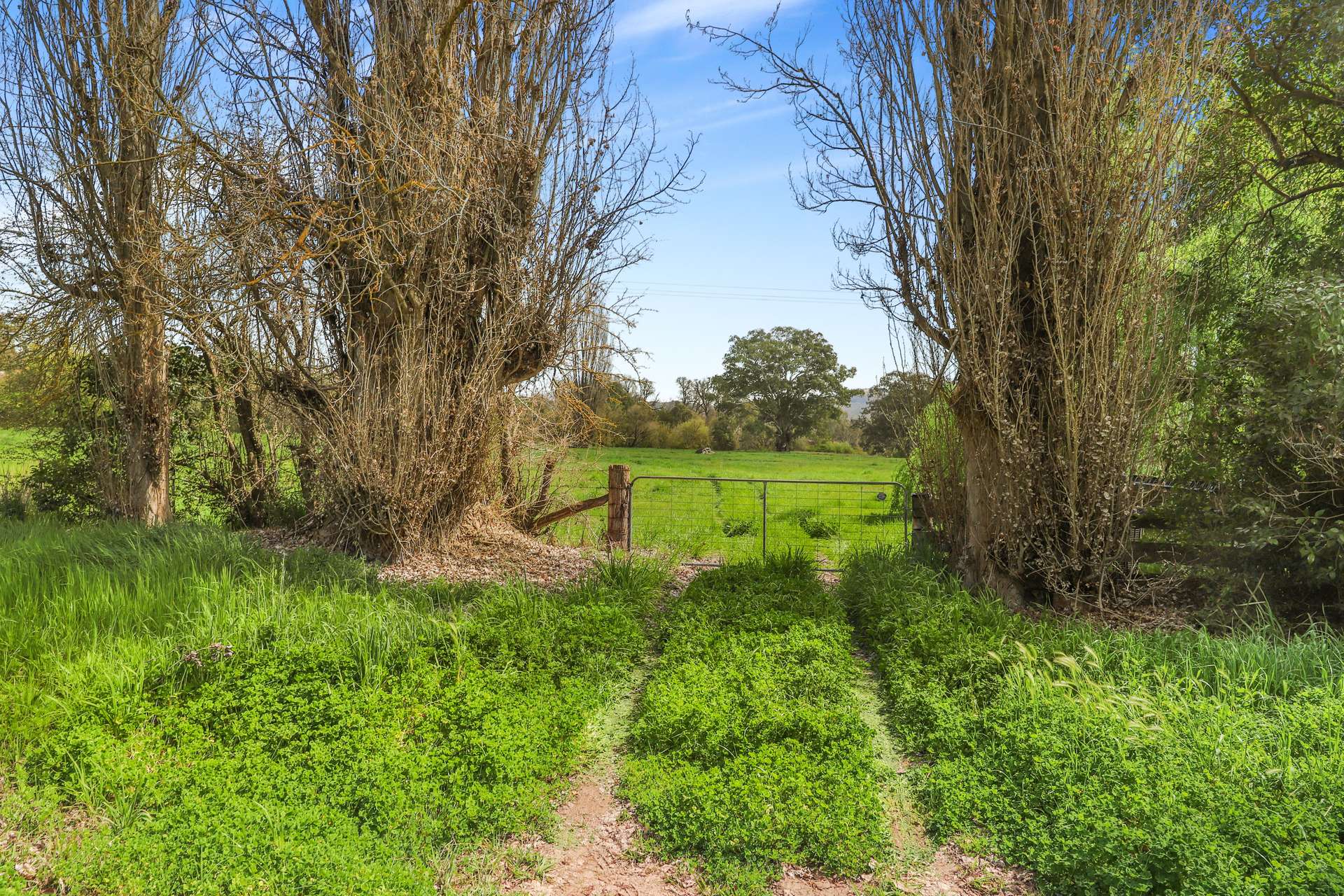 Lot 12,  Bombowlee Avenue, Tumut For Sale by Farmbuy.com - image 11