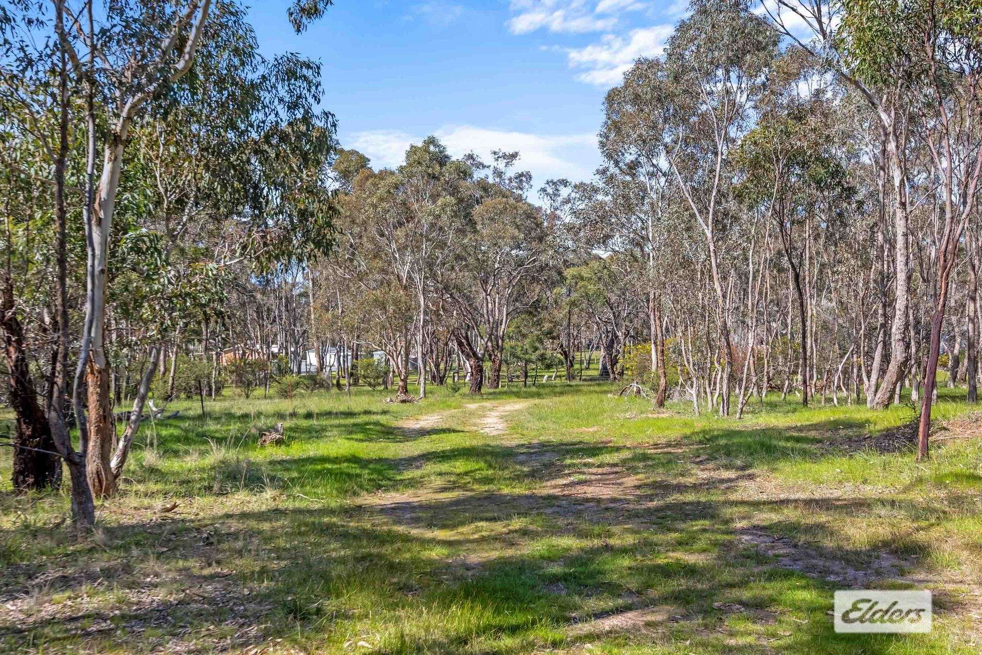 Lot 4, 134 Burke Road, Ararat For Sale by Farmbuy.com - image 6