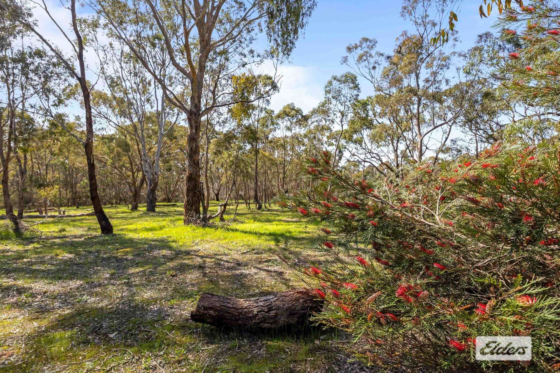 Lot 4, 134 Burke Road, Ararat For Sale by Farmbuy.com - image 11