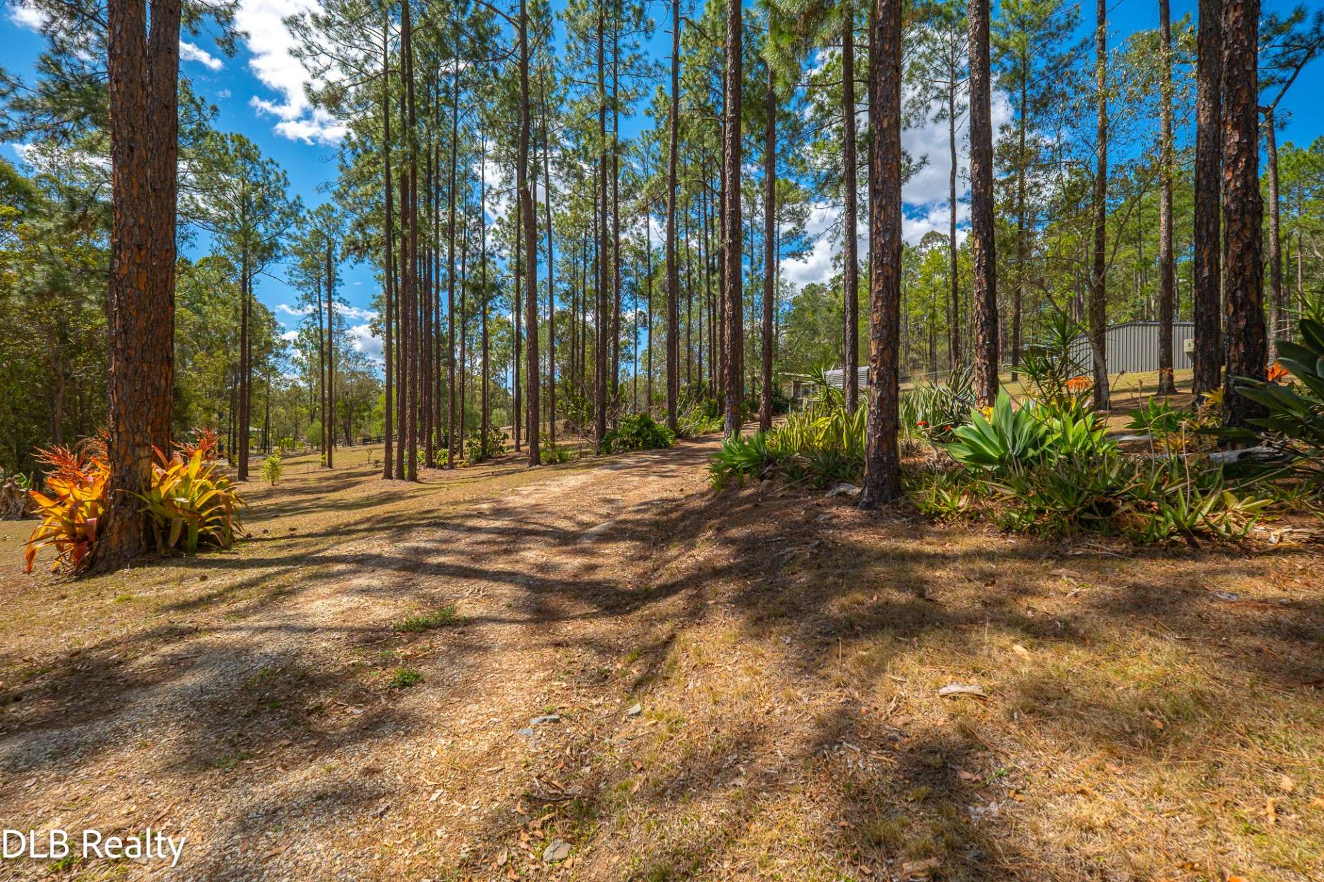 130 Arbornine Road, Glenwood For Sale by Farmbuy.com - image 19
