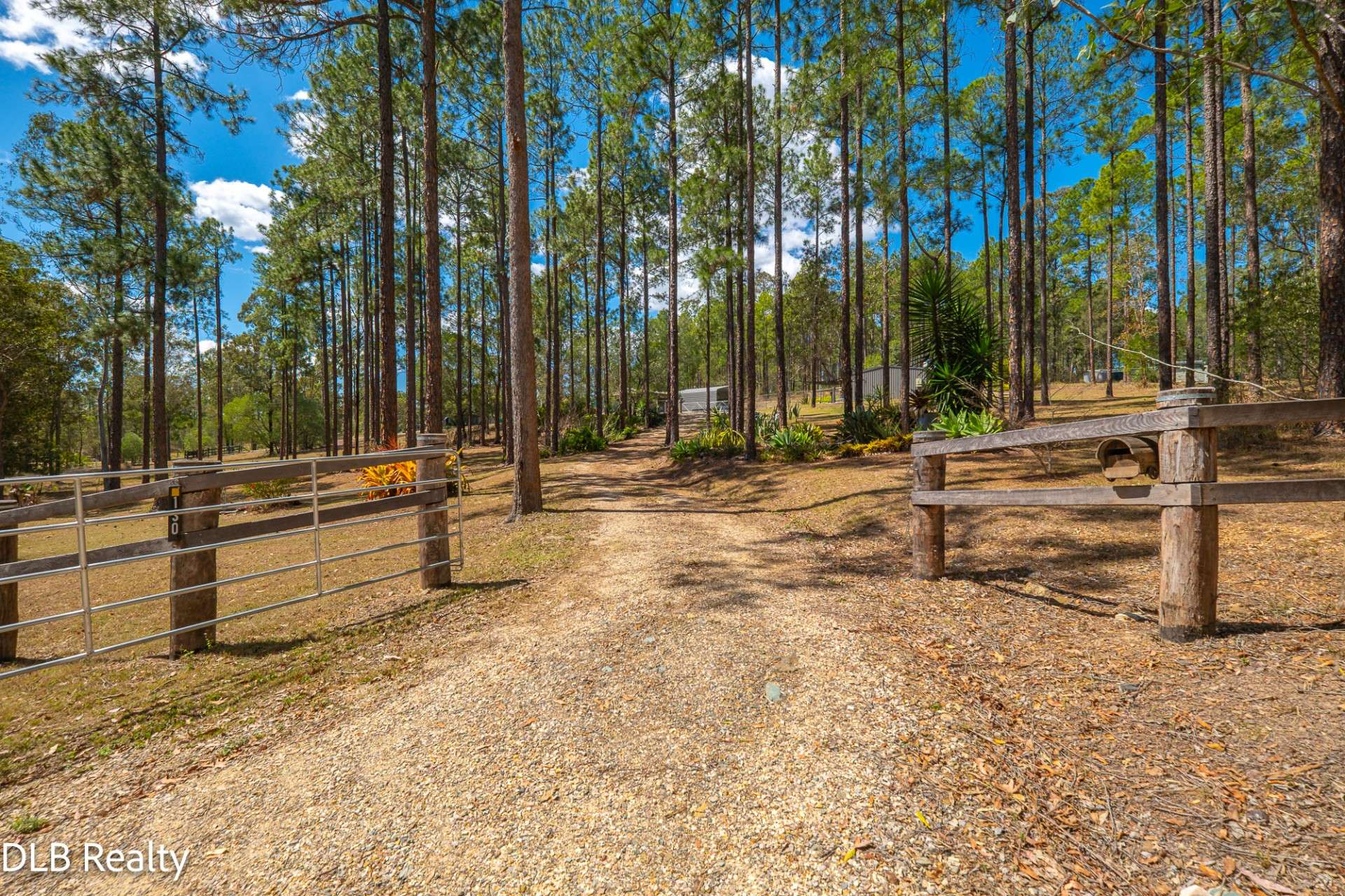 130 Arbornine Road, Glenwood For Sale by Farmbuy.com - image 3