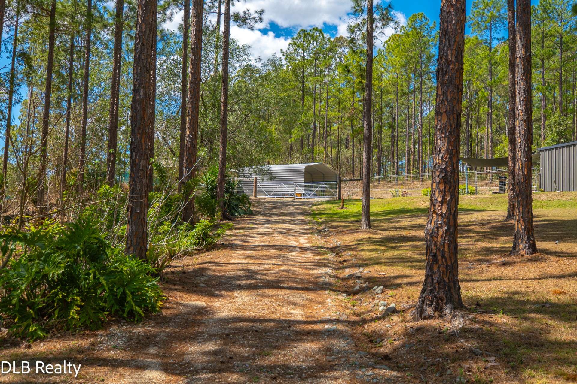130 Arbornine Road, Glenwood For Sale by Farmbuy.com - image 25