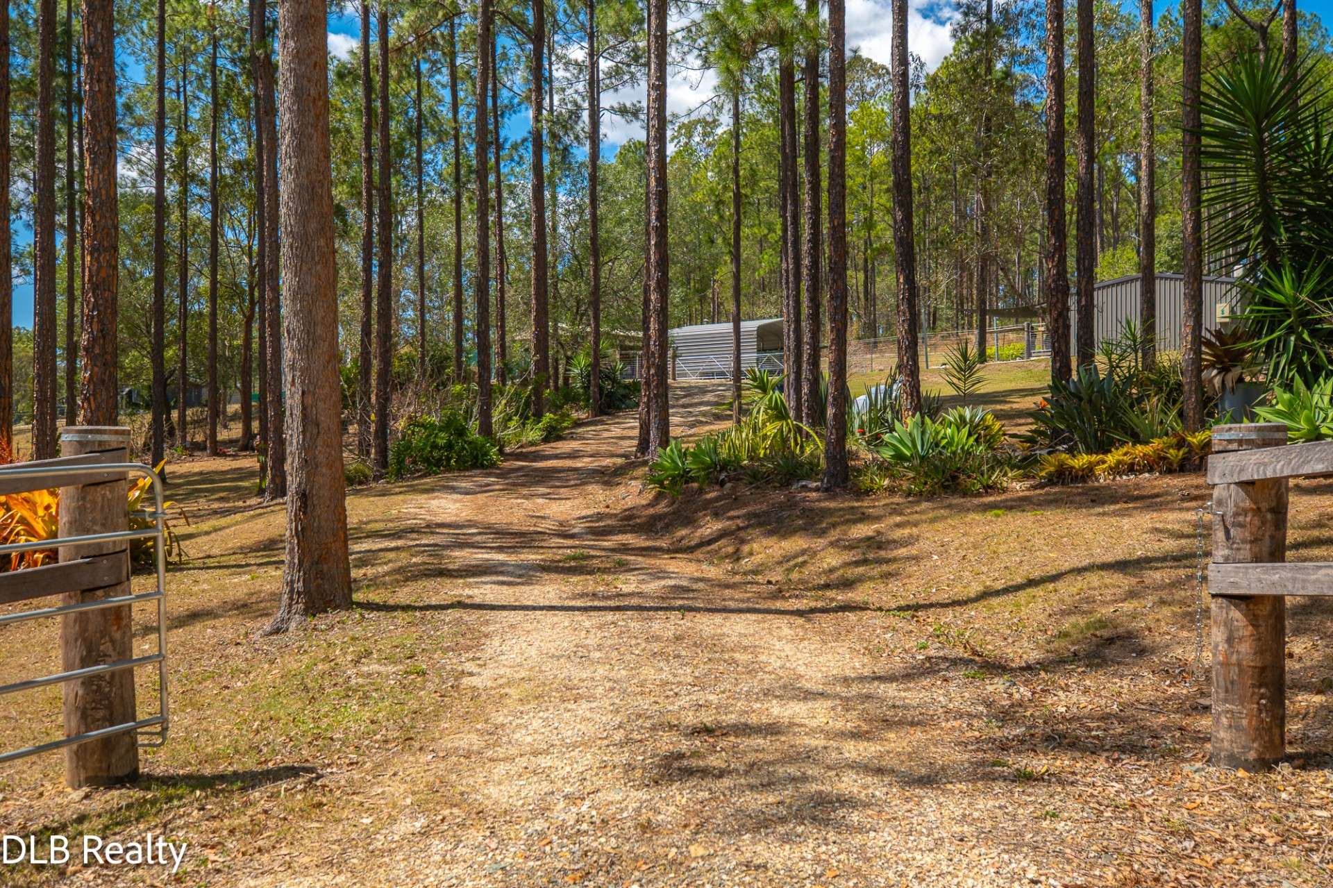 130 Arbornine Road, Glenwood For Sale by Farmbuy.com - image 18