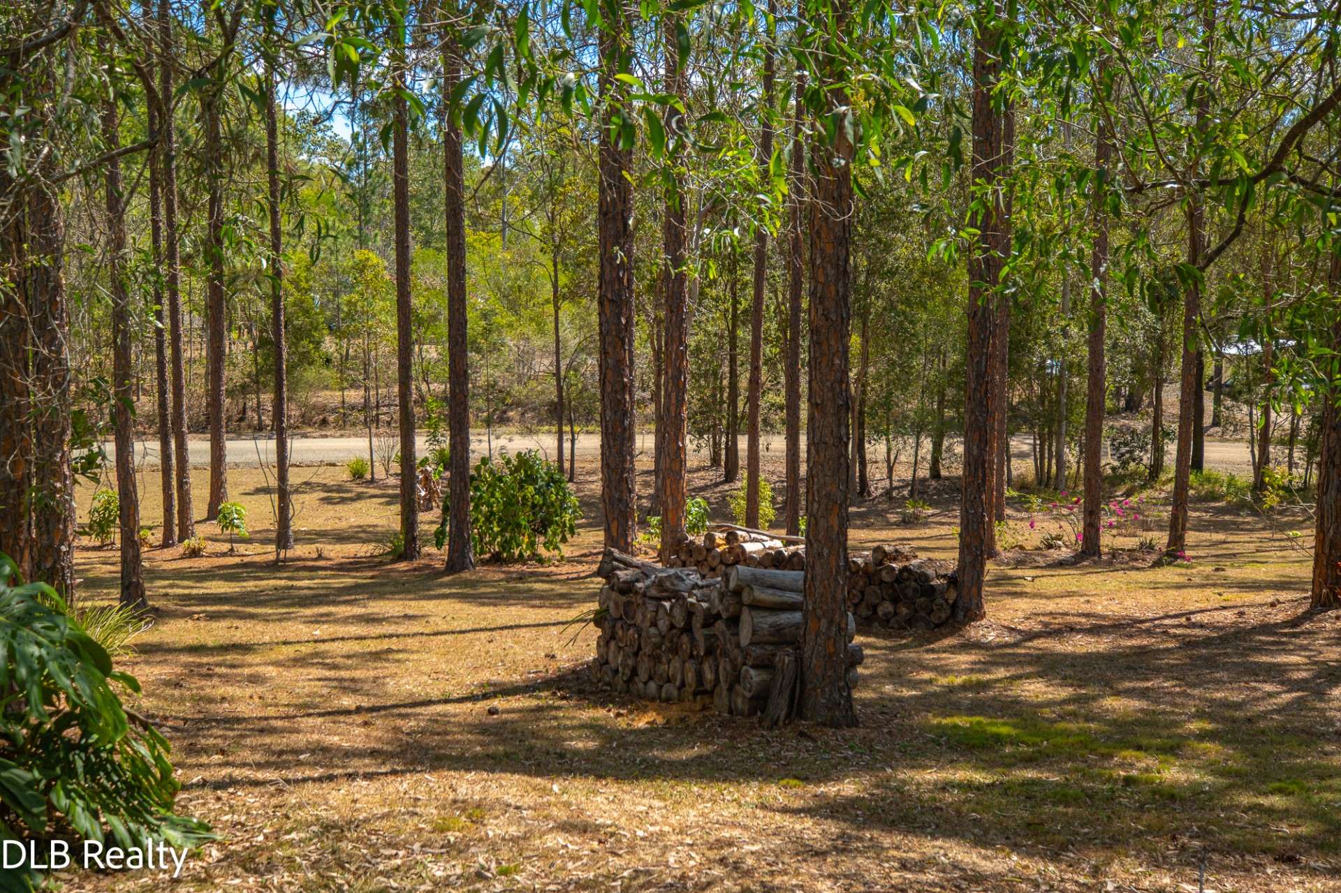 130 Arbornine Road, Glenwood For Sale by Farmbuy.com - image 17