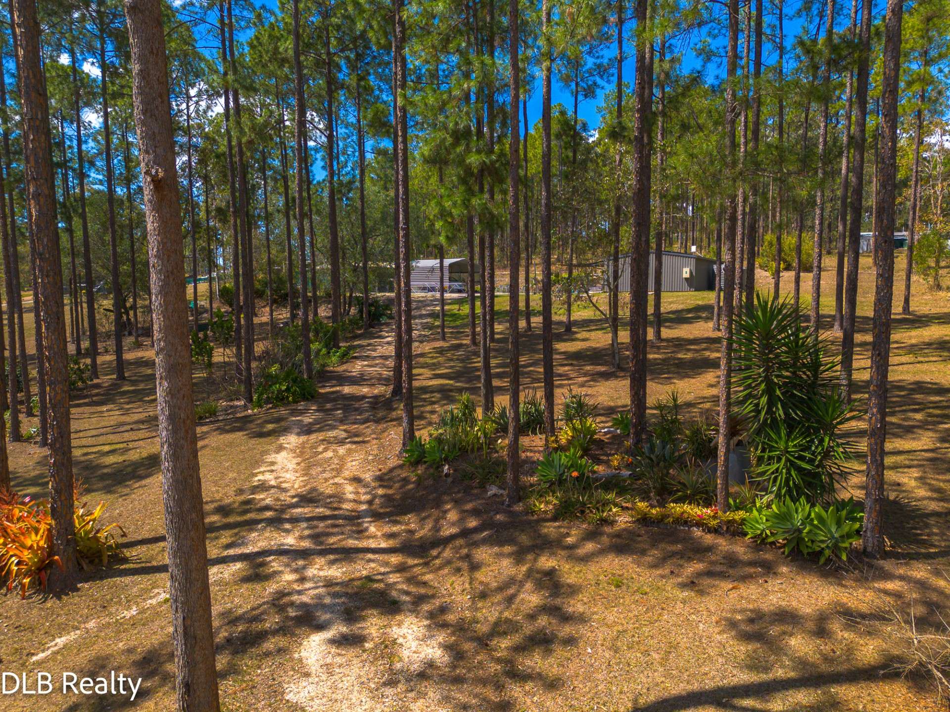 130 Arbornine Road, Glenwood For Sale by Farmbuy.com - image 26