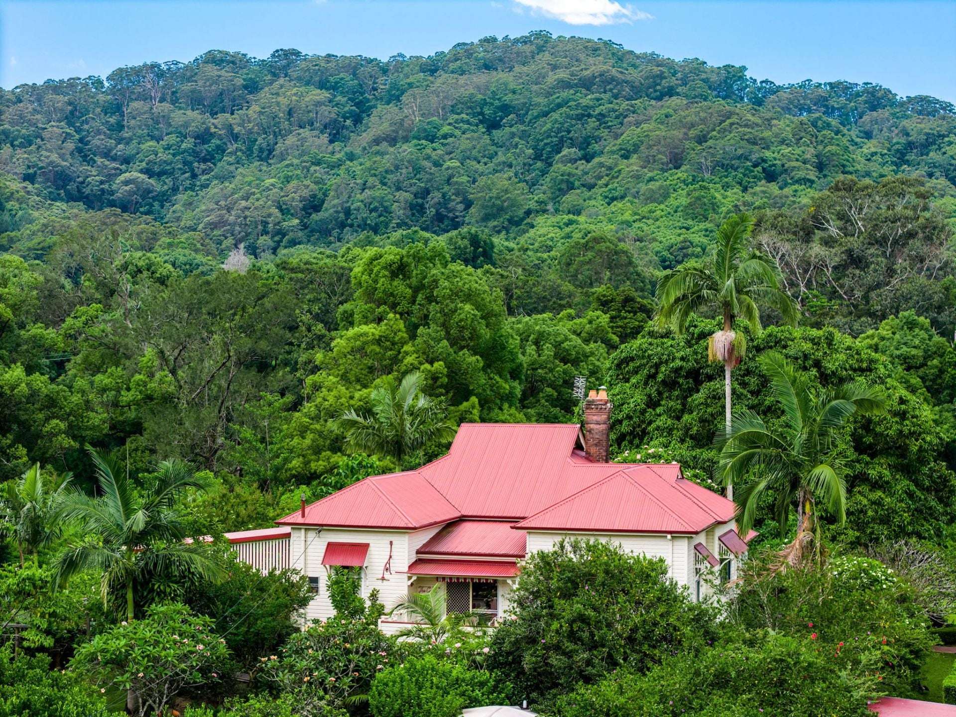 722 Main Arm Road, Mullumbimby For Sale by Farmbuy.com - image 14