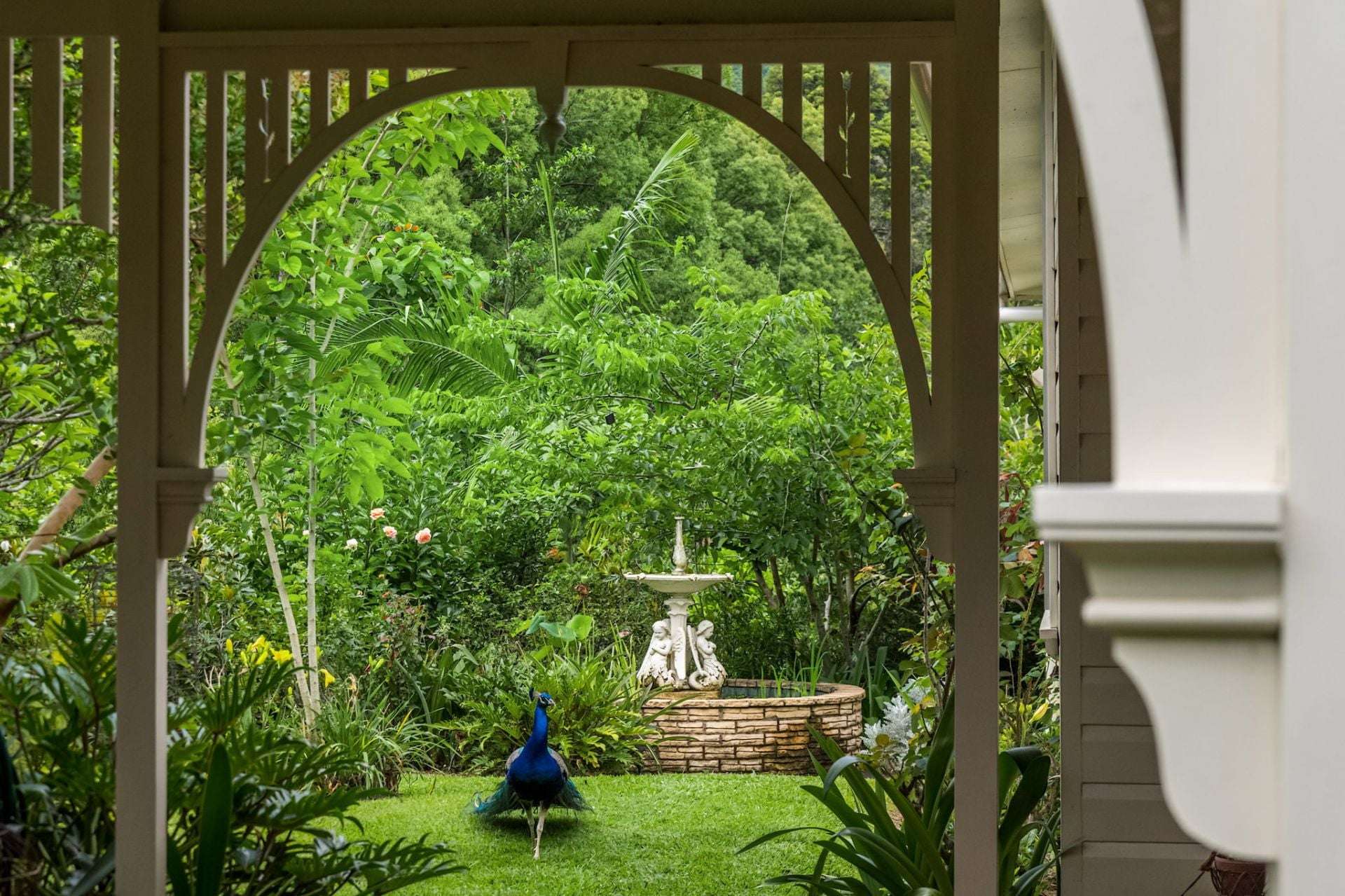 722 Main Arm Road, Mullumbimby For Sale by Farmbuy.com - image 17