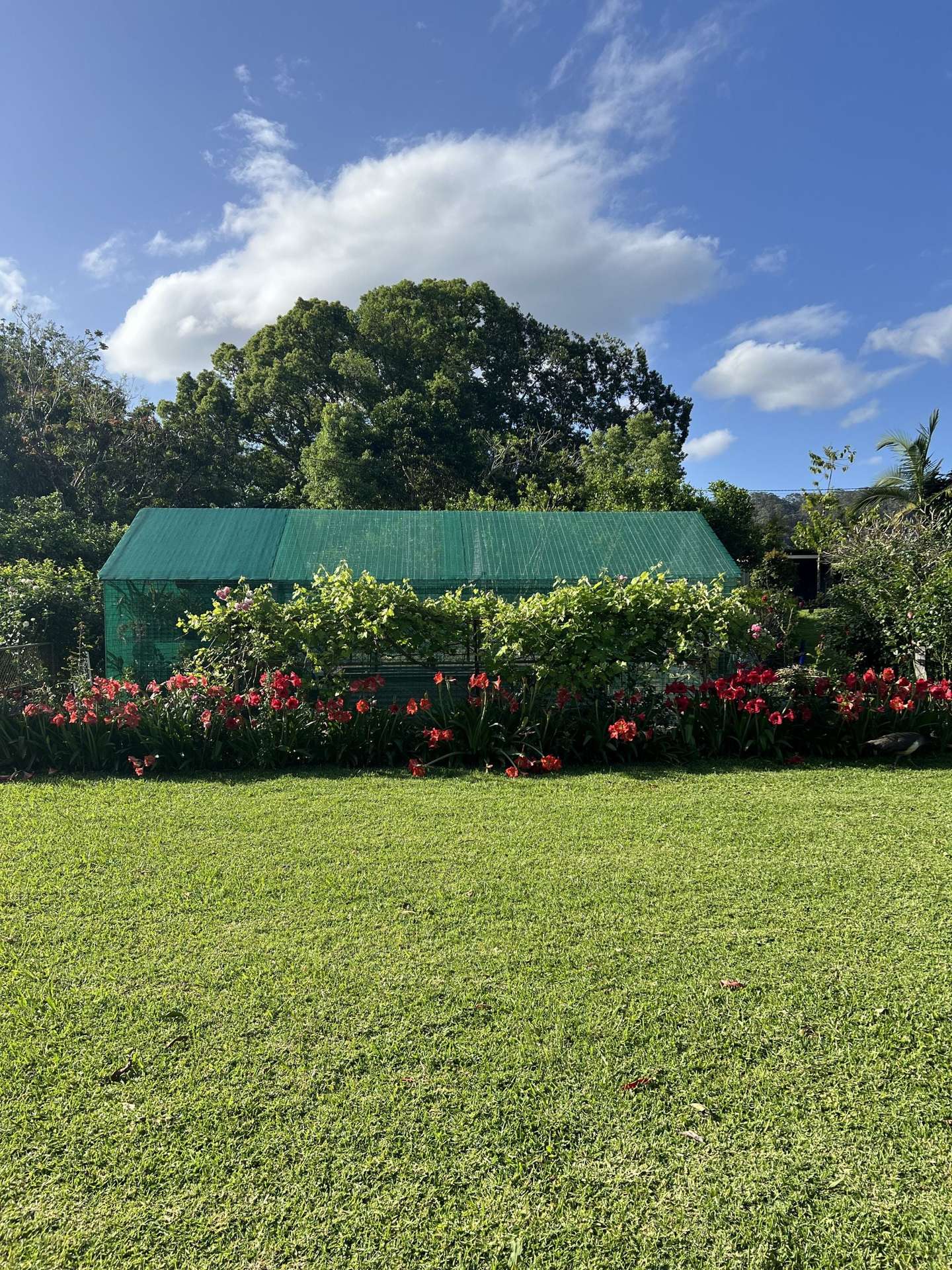 722 Main Arm Road, Mullumbimby For Sale by Farmbuy.com - image 22