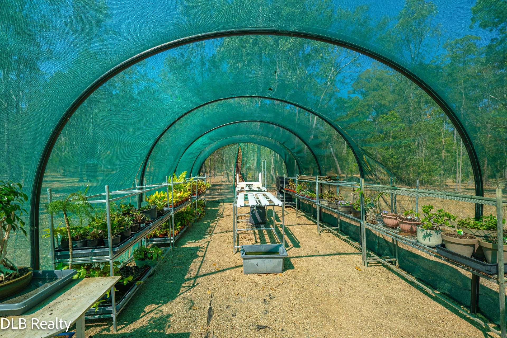 372 Wards Road, Glenwood For Sale by Farmbuy.com - image 22