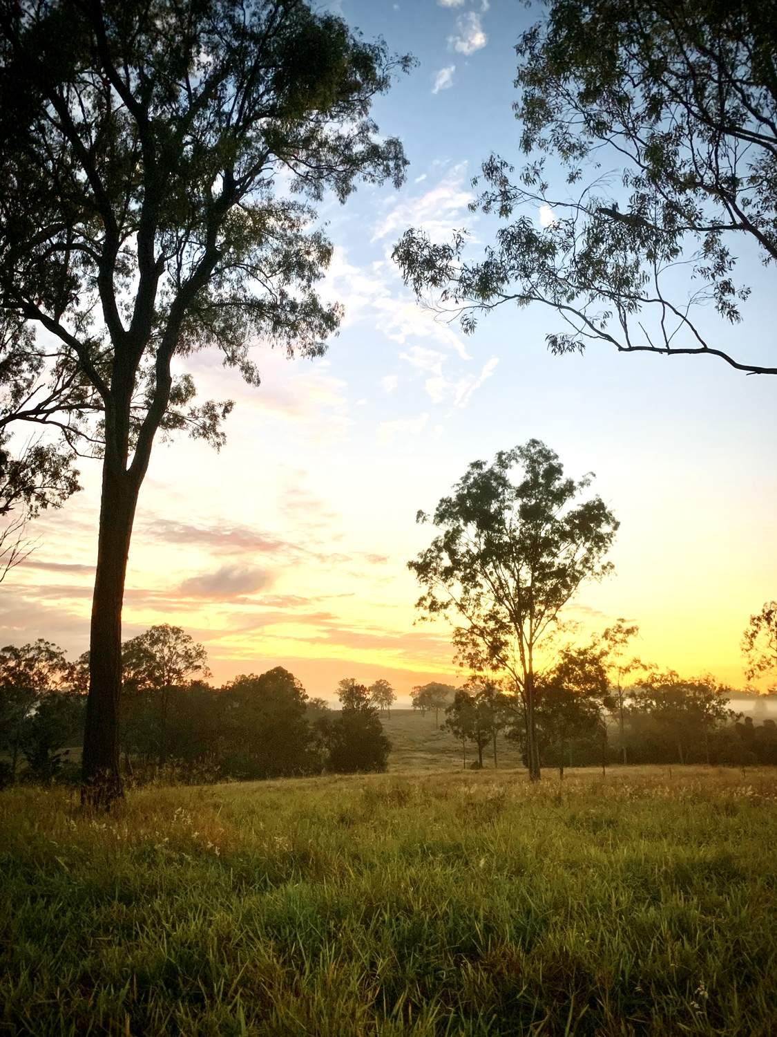 Lot 3,  Walters Road, Booyal For Sale by Farmbuy.com - image 6