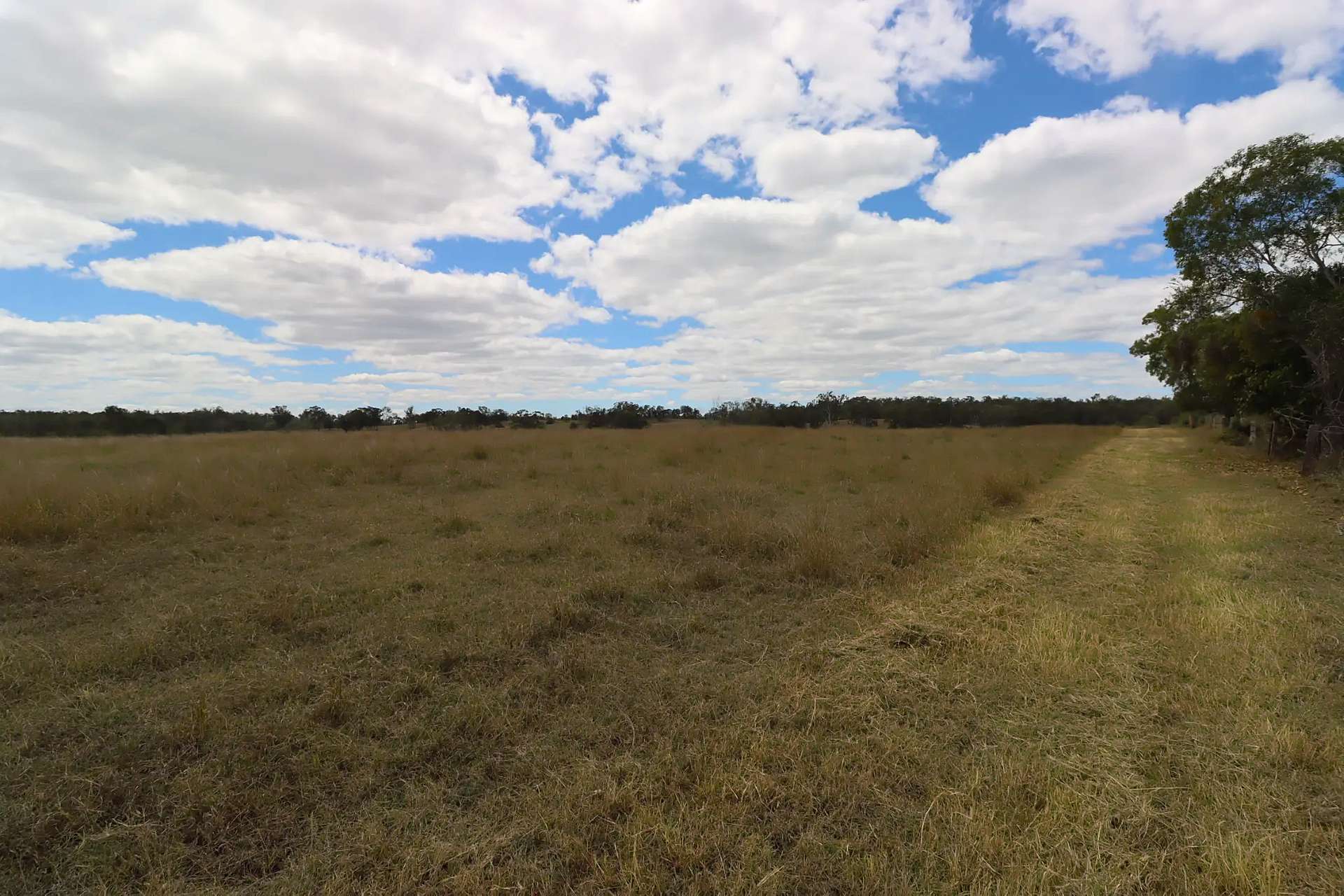 Lot 3,  Walters Road, Booyal For Sale by Farmbuy.com - image 5