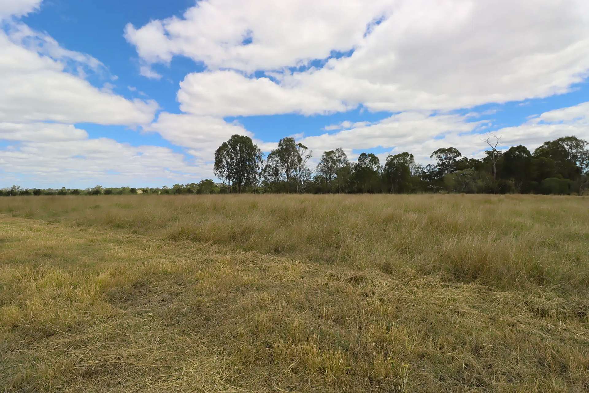 0 Walters Road, Booyal For Sale by Farmbuy.com - image 4