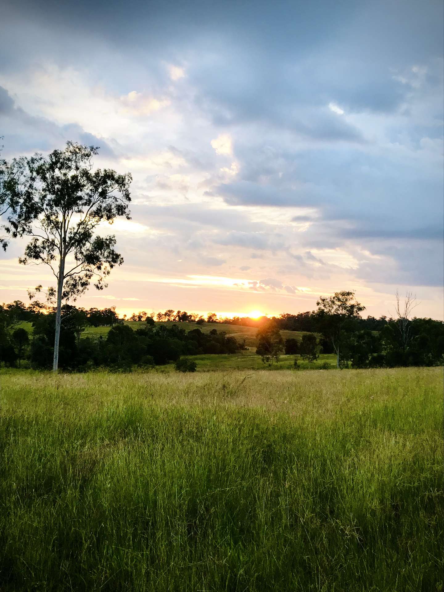 0 Walters Road, Booyal For Sale by Farmbuy.com - image 6
