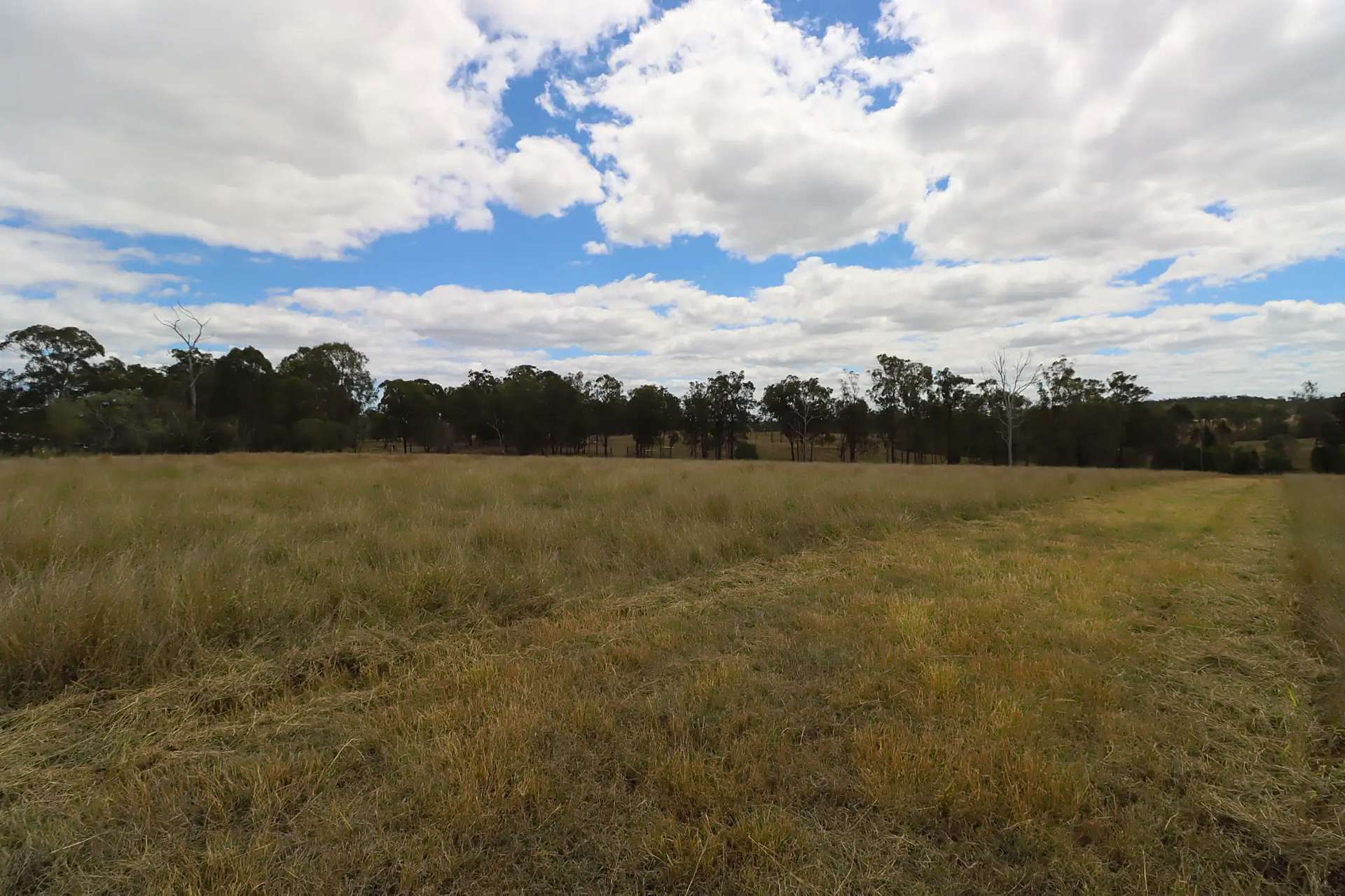 0 Walters Road, Booyal For Sale by Farmbuy.com - image 3