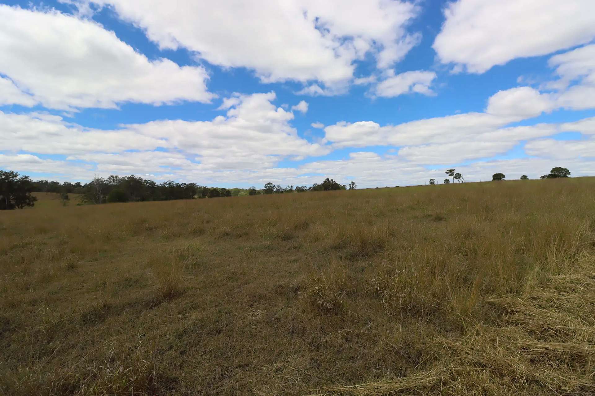 0 Walters Road, Booyal For Sale by Farmbuy.com - image 5