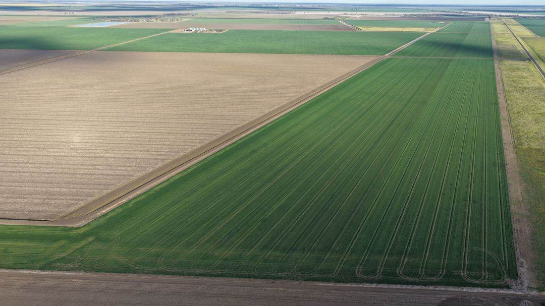 Auburn, Spring Plains For Sale by Farmbuy.com - image 2