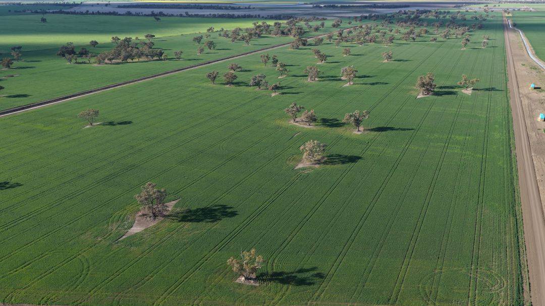 Auburn, Spring Plains For Sale by Farmbuy.com - image 18
