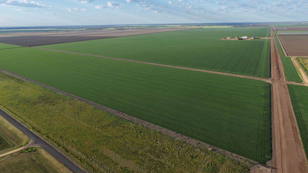 Auburn, Spring Plains For Sale by Farmbuy.com - image 8