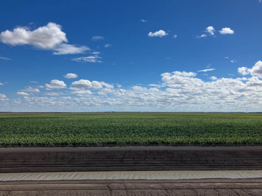 Auburn, Spring Plains For Sale by Farmbuy.com - image 4
